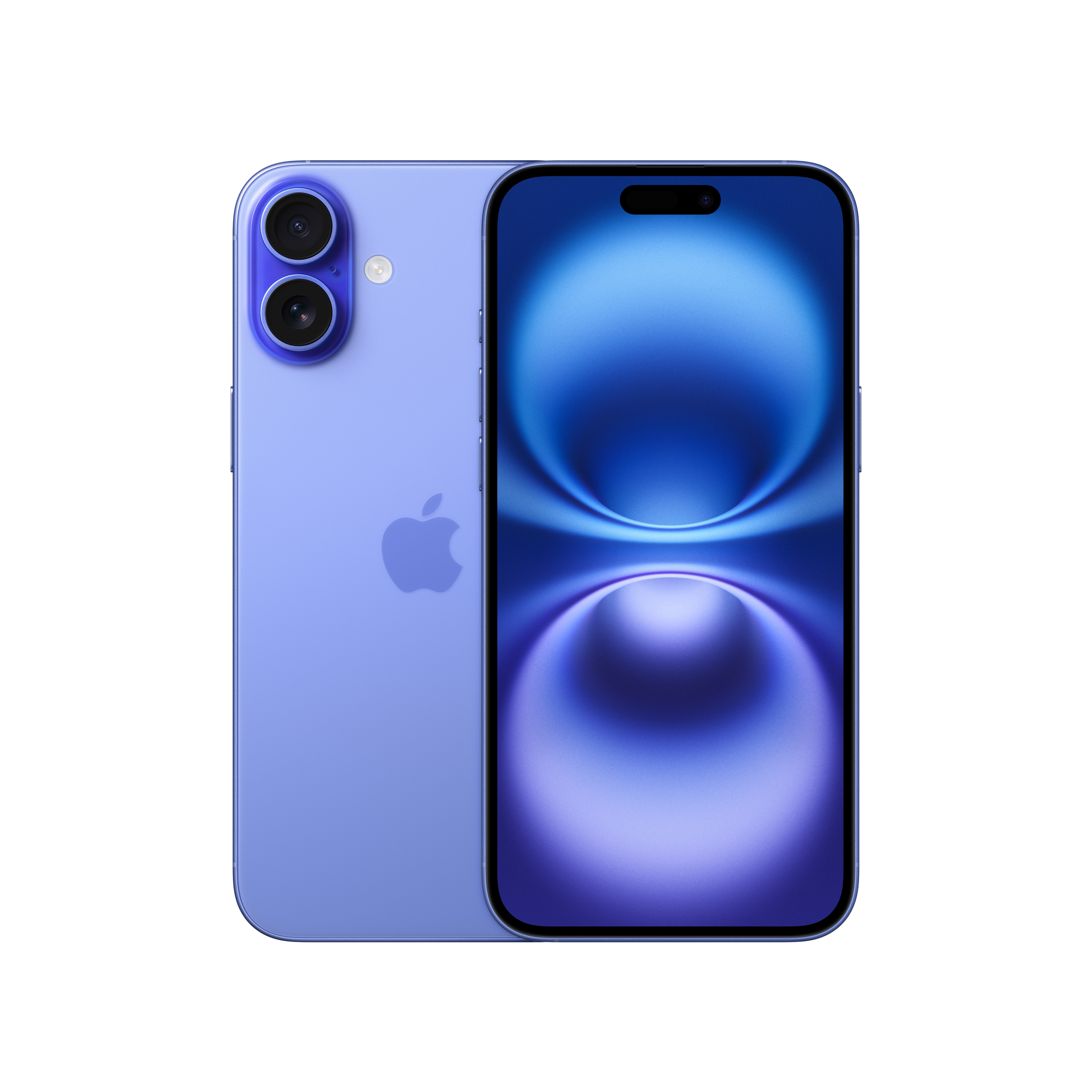 Ön ve arka görünümlü mavi iPhone. Ön tarafında mavi ekran var.