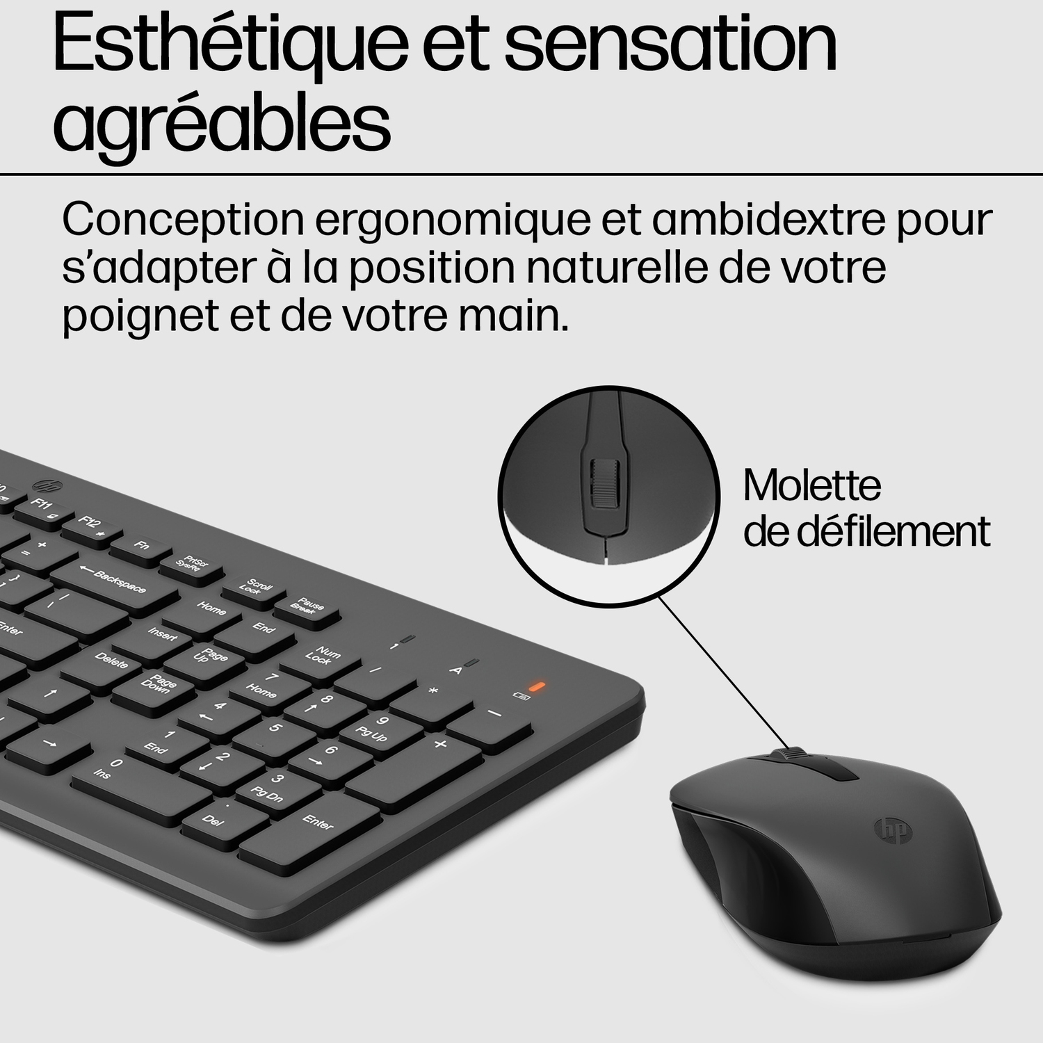 Clavier et souris noirs sur une surface blanche. Une vue agrandie montre la molette de défilement de la souris.