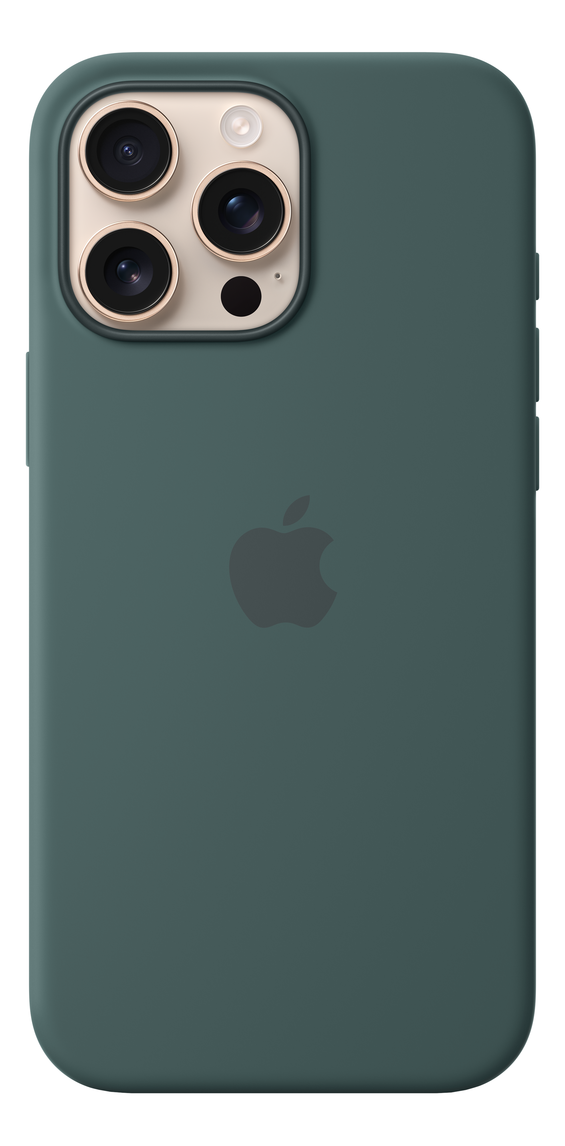APPLE Coque en silicone avec MagSafe, Manches, Apple, iPhone 16 Pro Max, Lake Green