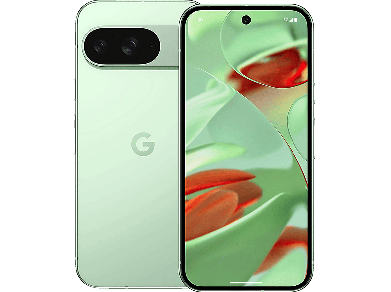 Smartfon GOOGLE Pixel 9 5G 12/256GB Seledynowy (Wintergreen)