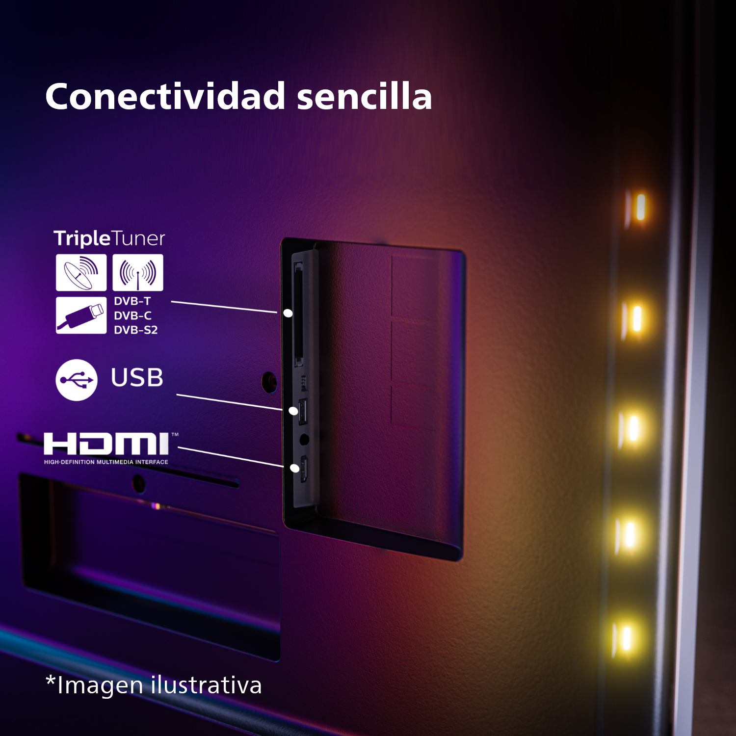 Panel trasero de TV con puertos y conexiones, HDMI, USB y Triple Tuner.