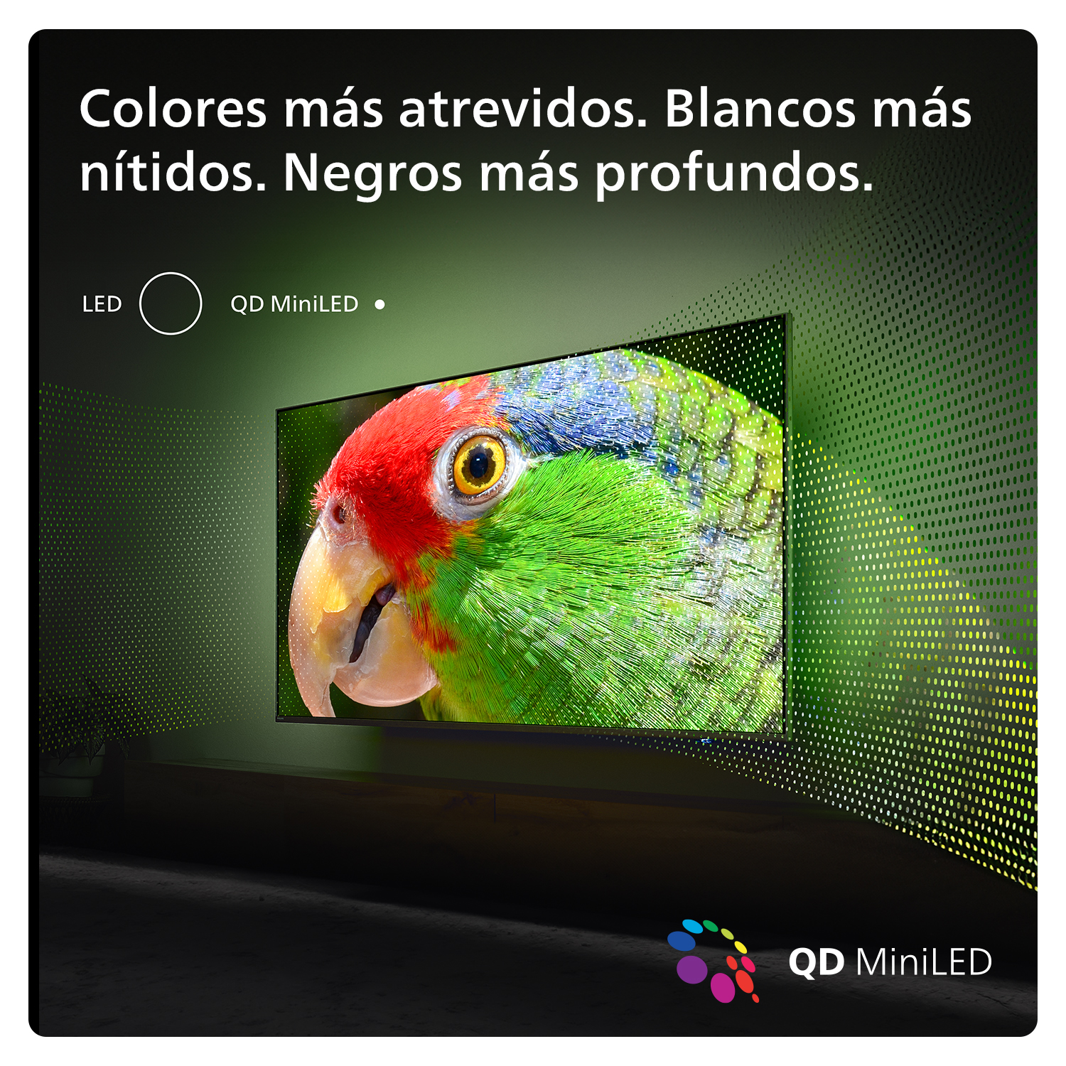 Pantalla de TV mostrando un loro colorido. La pantalla está rodeada de paneles LED punteados.