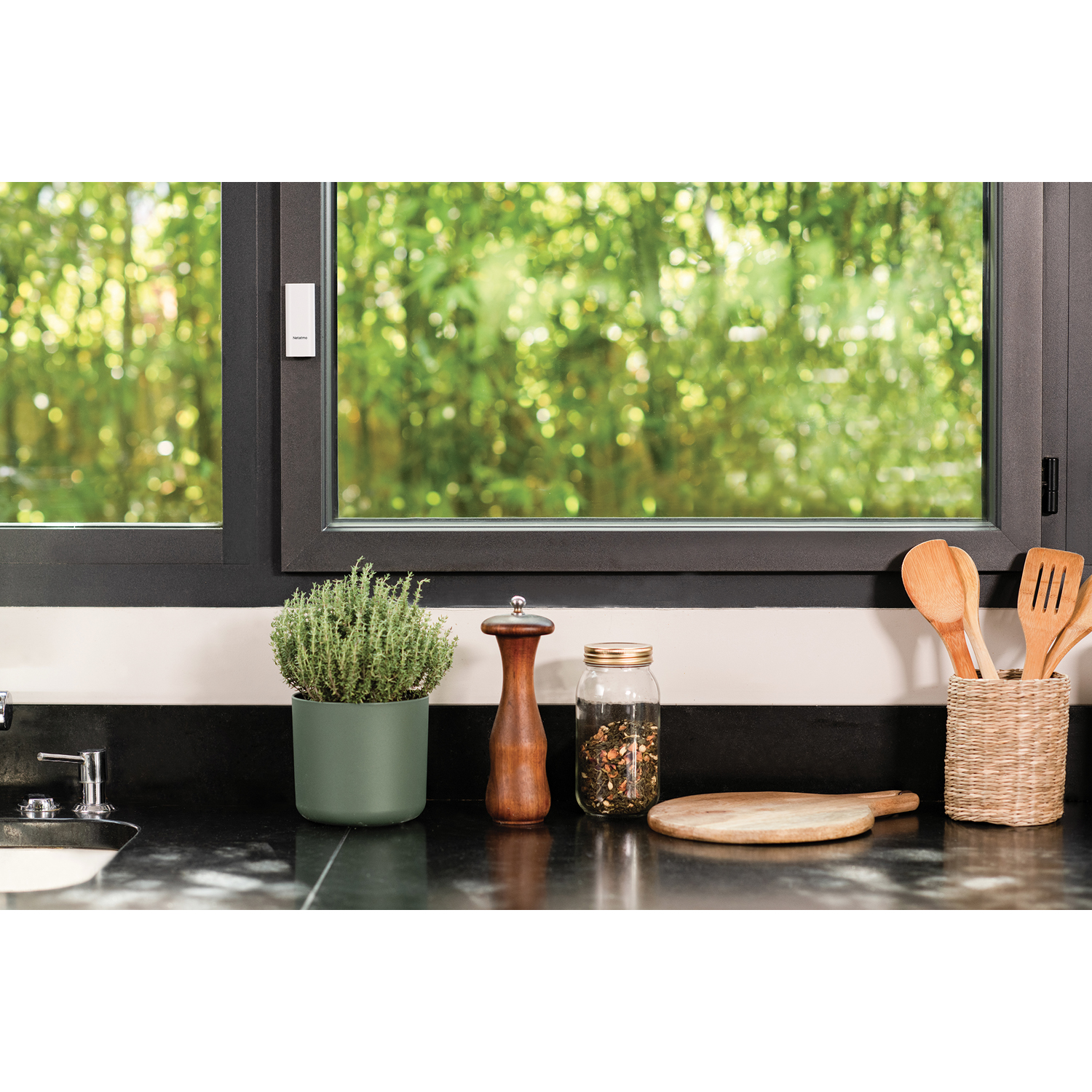 Scena cucina con finestra su alberi verdi, pianta, spezie e utensili di legno.