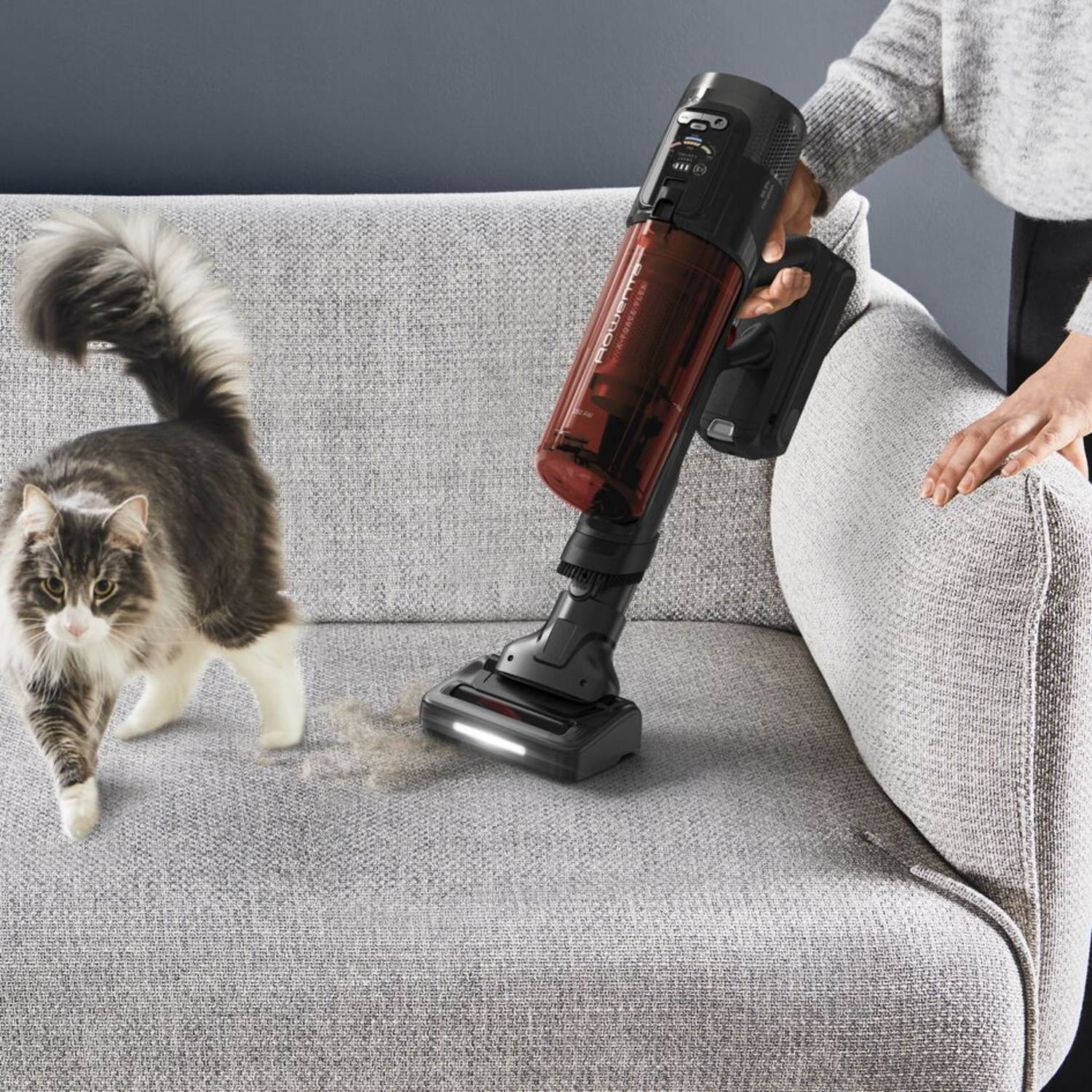 Een persoon die een bank stofzuigt. Een kat kijkt naar de stofzuiger.