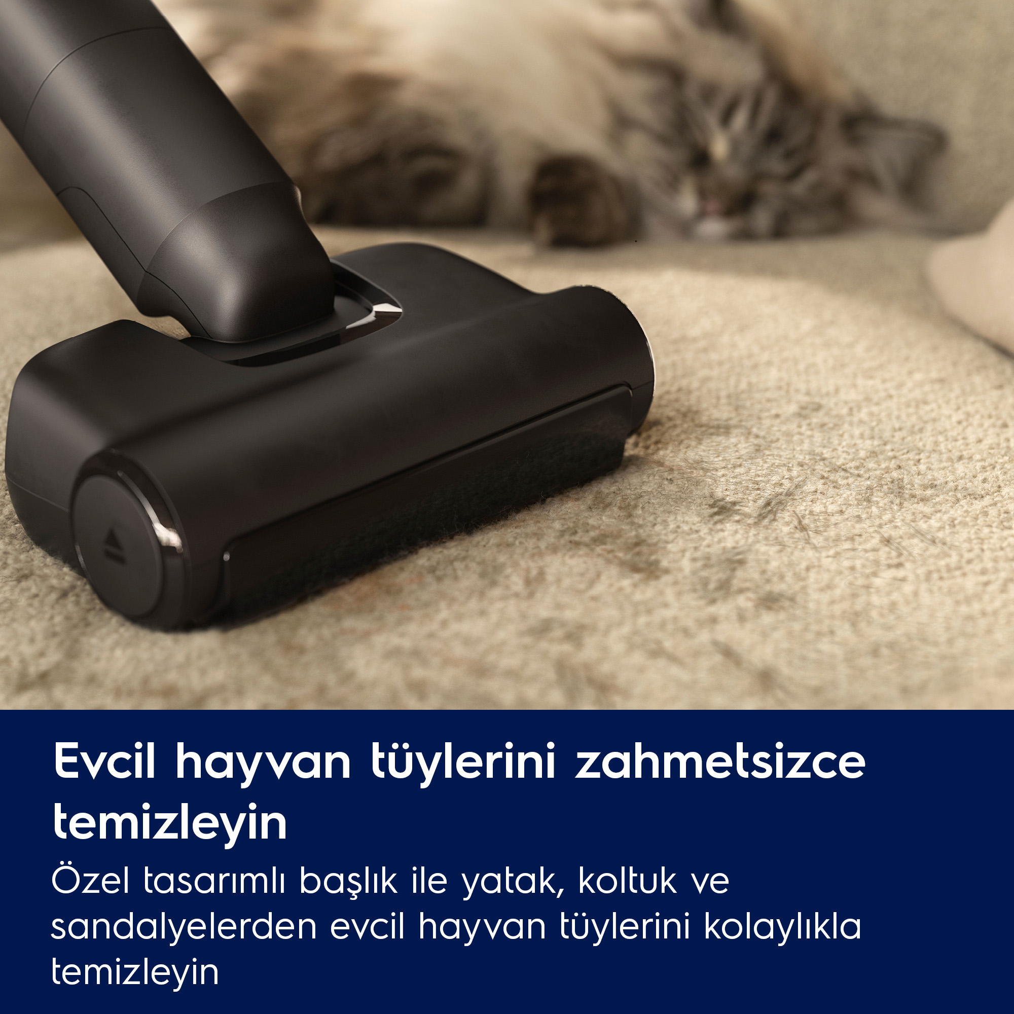 Halı üzerinde bir elektrik süpürgesi başlığı, arka planda bir kedi. Türkçe metin, evcil hayvan tüylerinin temizlenmesini tanıtıyor.