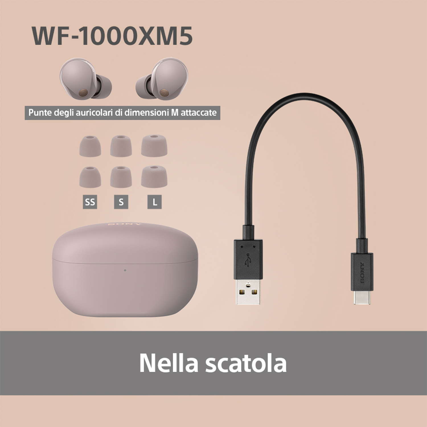 Un set di auricolari con accessori e scatola, etichettato in italiano.