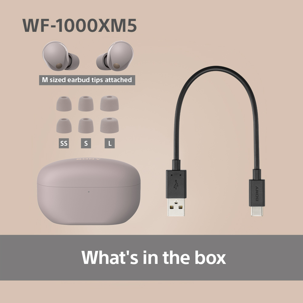 Auricolari, custodia di ricarica e un cavo USB.