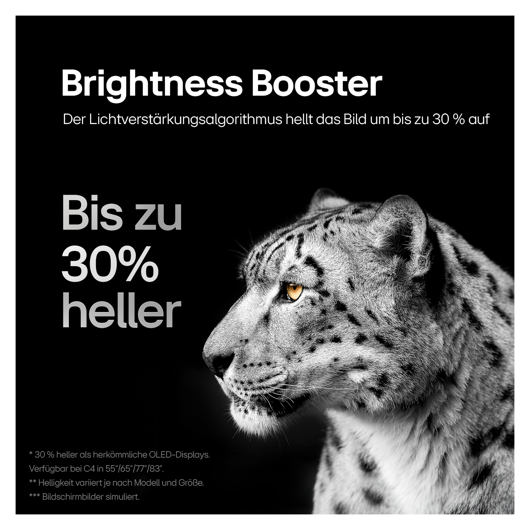 Schwarz-Weiß-Foto eines Leoparden mit Text: Brightness Booster, Bis zu 30% heller.