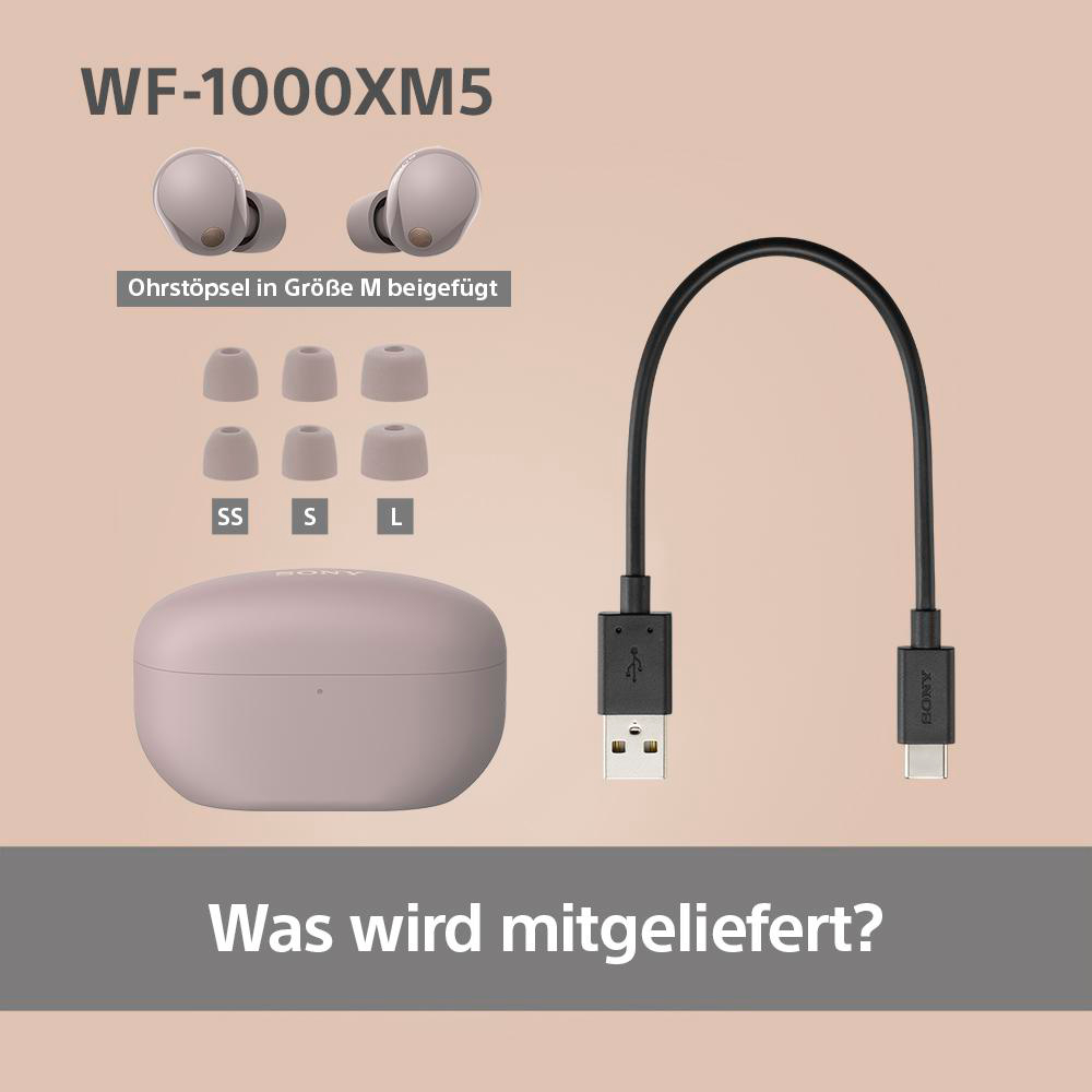 Ohrhörer, Ladecase und Zubehör mit dem Text 'Was ist enthalten?'