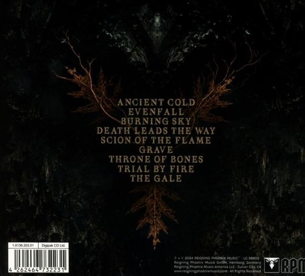 Rückseite eines Albums mit Titeln und einem baumartigen Design.