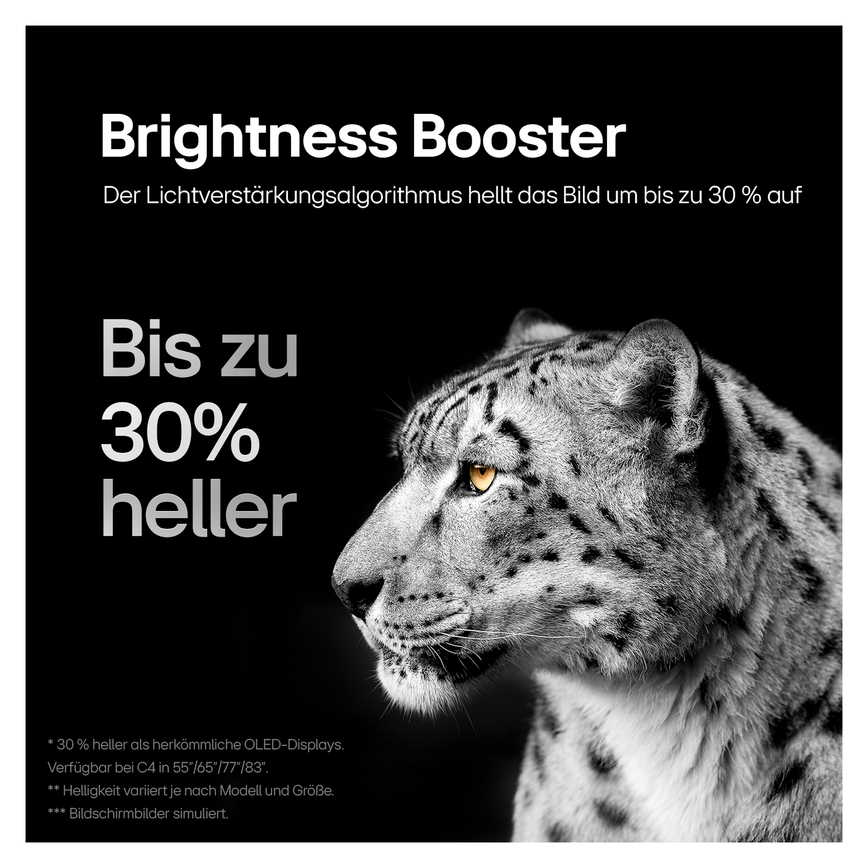 Das Gesicht eines Leoparden wird gezeigt, mit dem Text: Helligkeits-Booster, bis zu 30% heller.