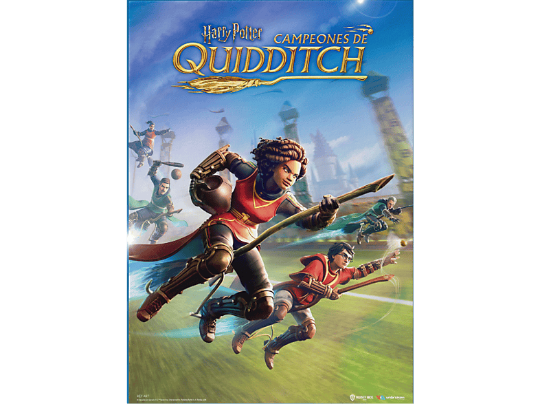 Koch Media Harry Potter Quidditch, Tamaño A5