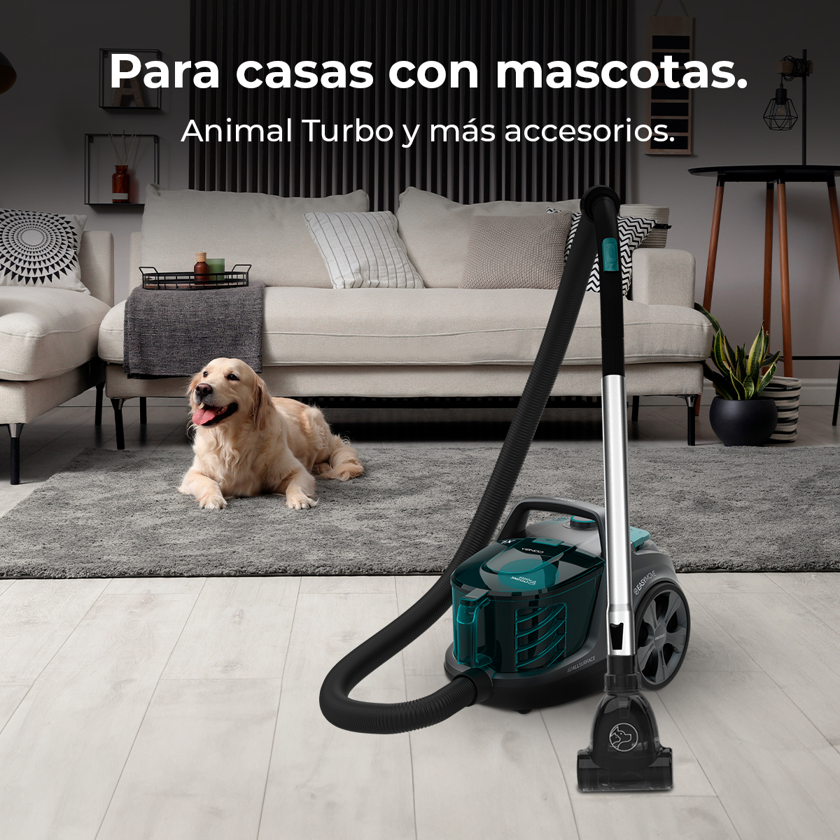 Aspiradora con un golden retriever en un salón.