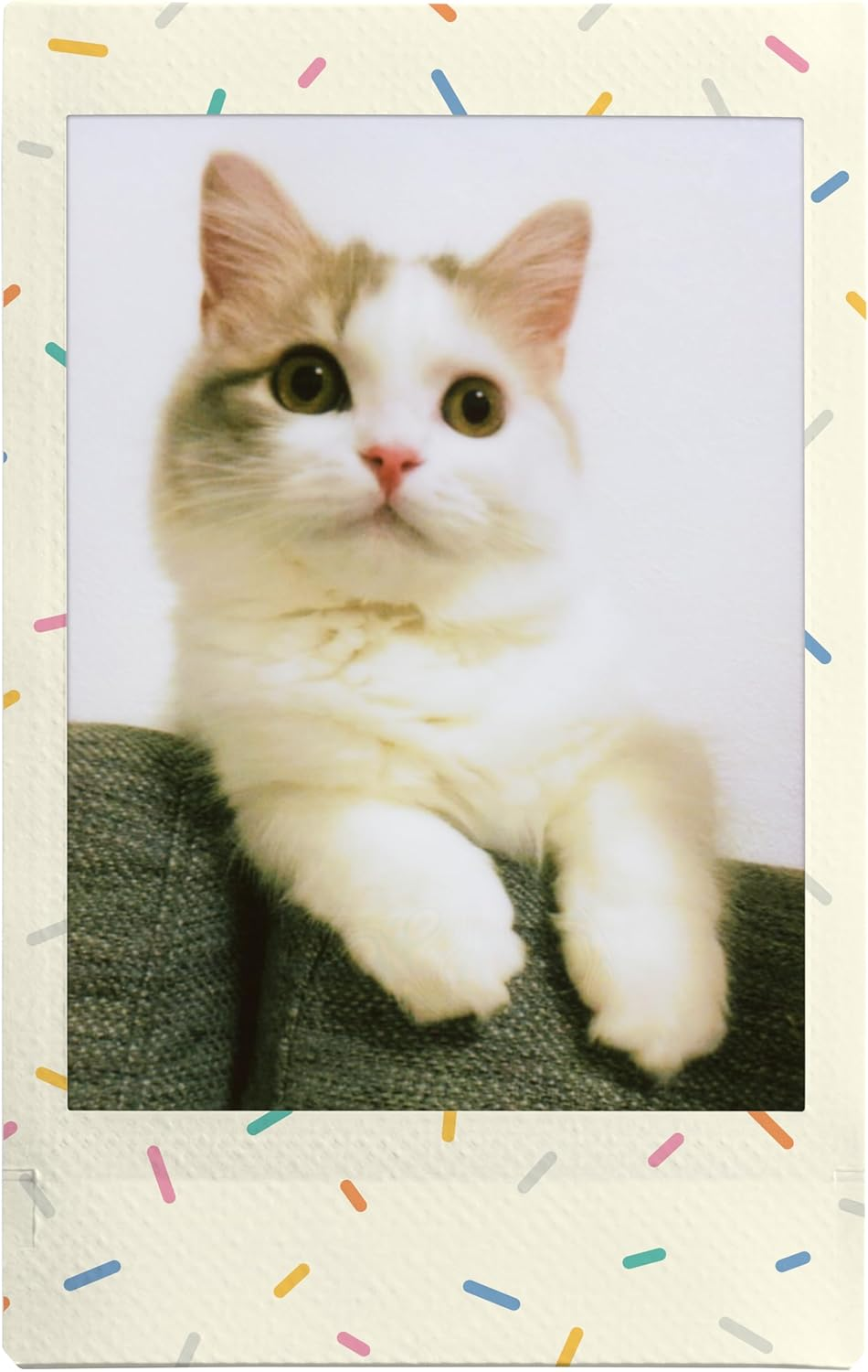 Un gato blanco y gris sentado en una superficie gris, dentro de un marco polaroid.