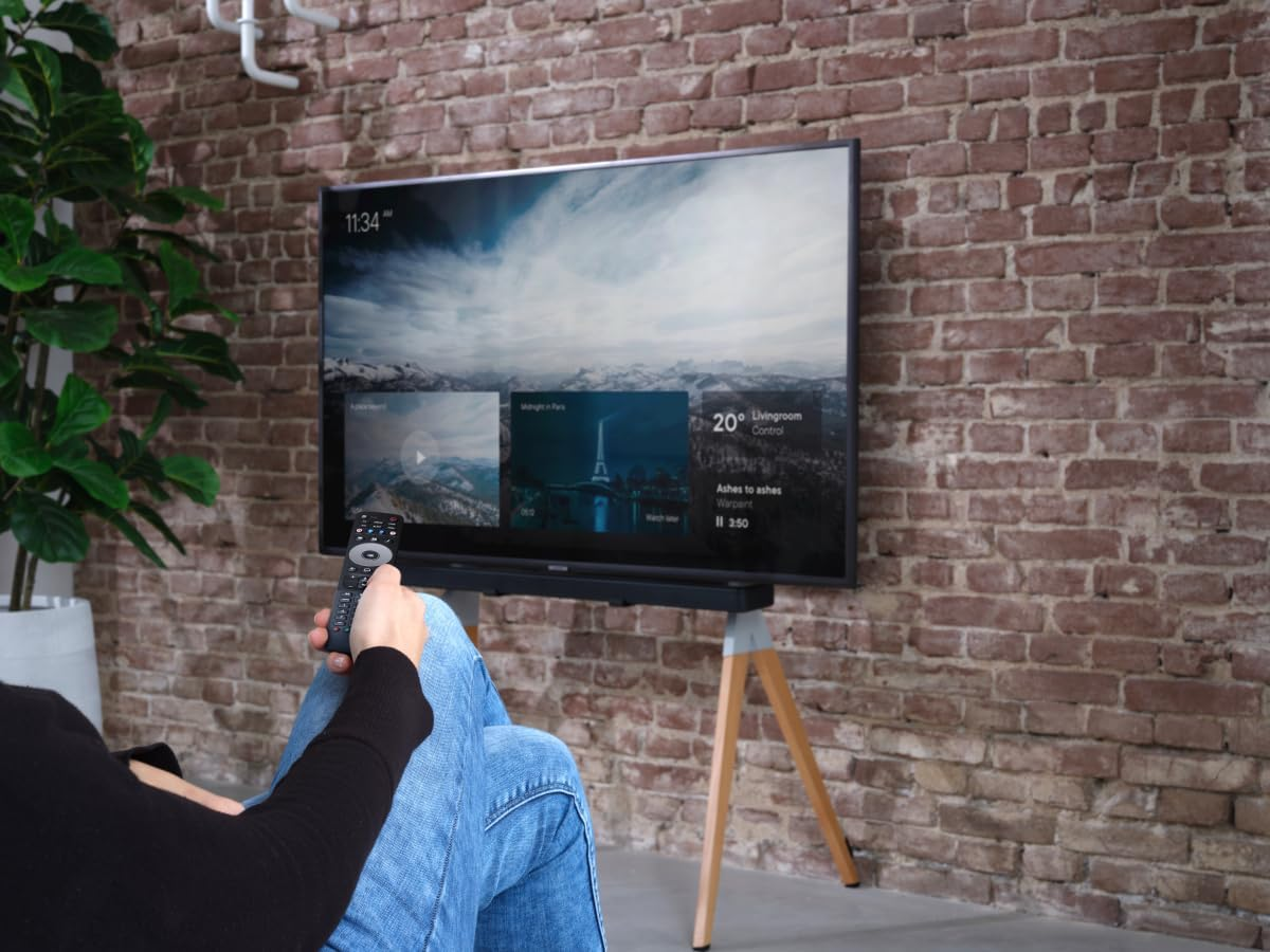 Personne tenant une télécommande, regardant la télévision. La télé affiche un paysage. Mur de briques en arrière-plan. Plante à gauche.