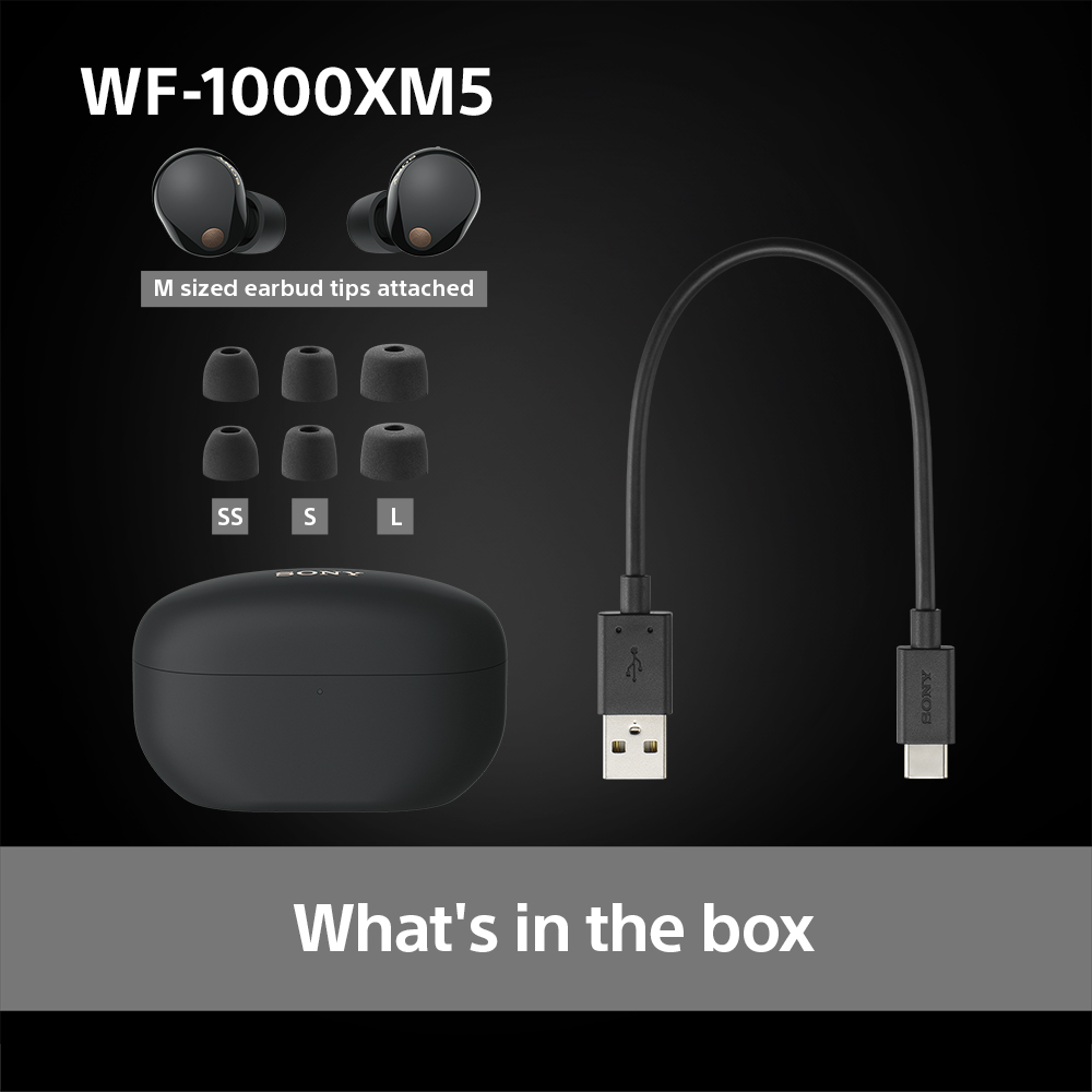 SONY WF-1000X M5, Bluetooth In-ear True Wireless Kopfhörer mit