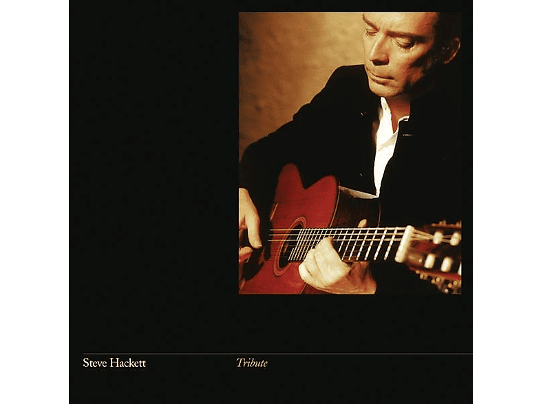 Steve Hackett Tribute LP