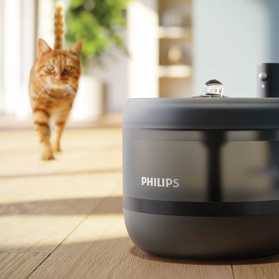 Egy vörös macska sétál a kamerába, egy Philips vízadagolóval az előtérben.