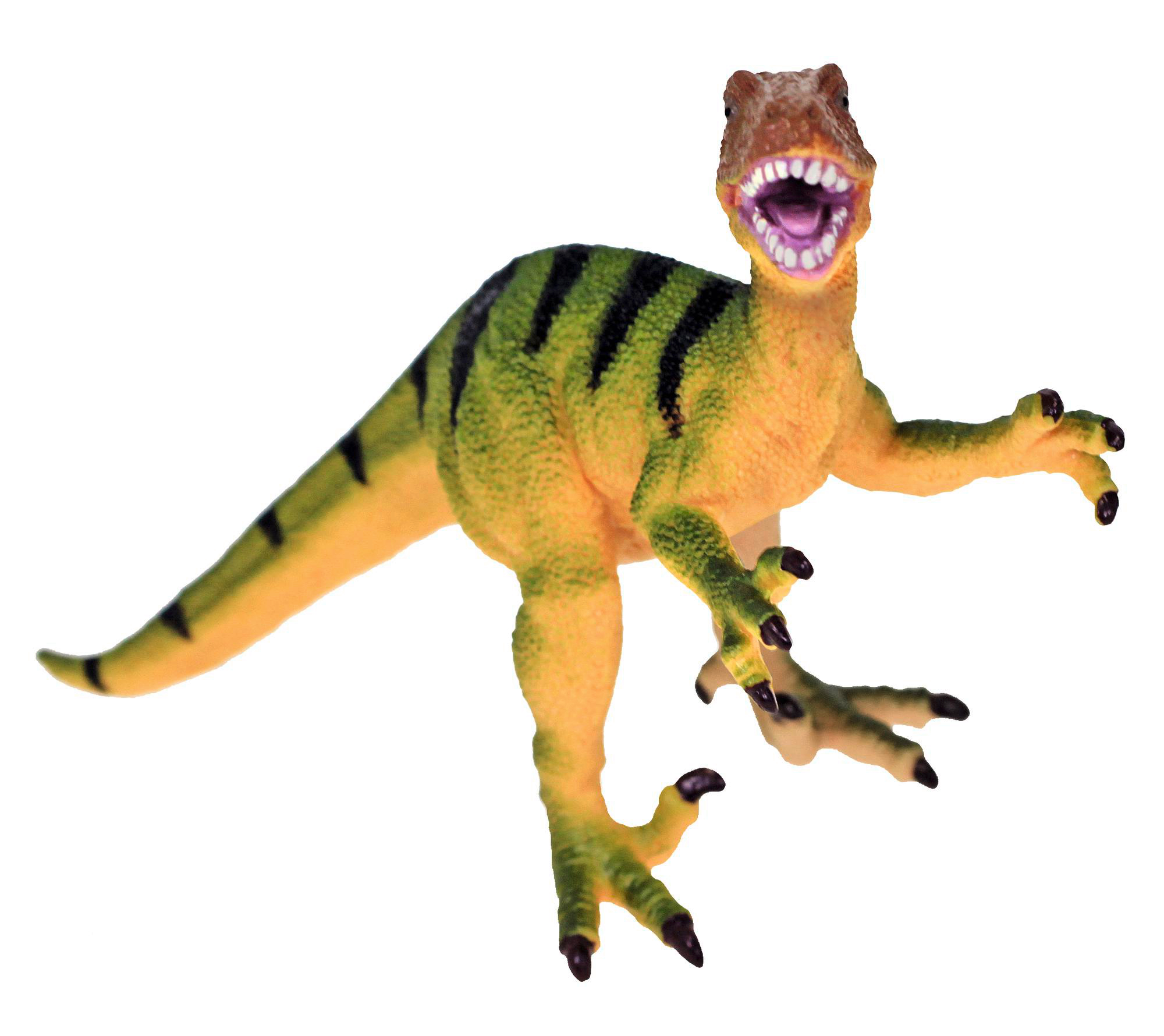 Ein gelbes und grünes Dinosaurierspielzeug mit weit geöffnetem Maul. Es hat grüne Streifen und steht auf weißem Untergrund.