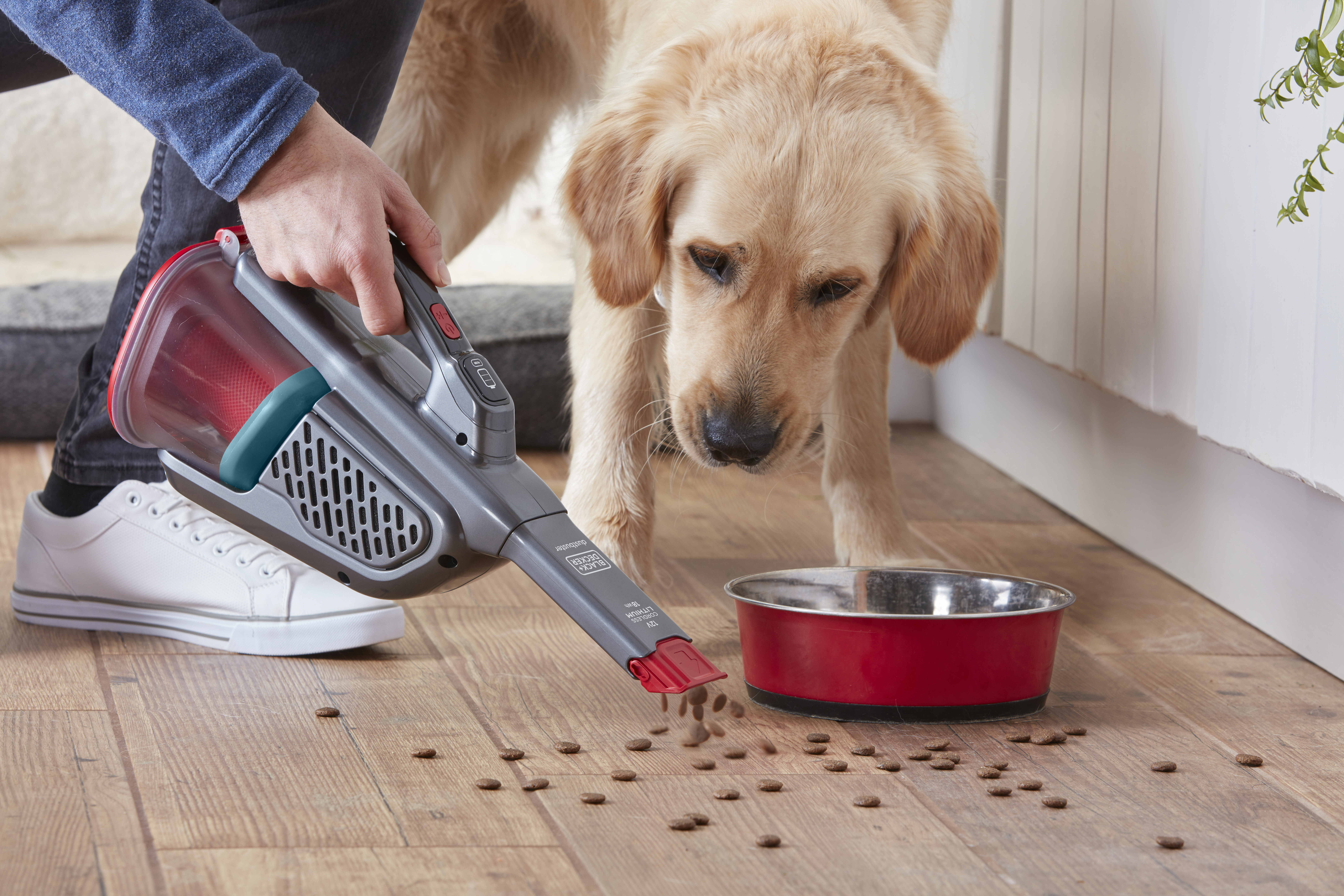 Kişi dökülen evcil hayvan mamasını süpürürken köpek izliyor.