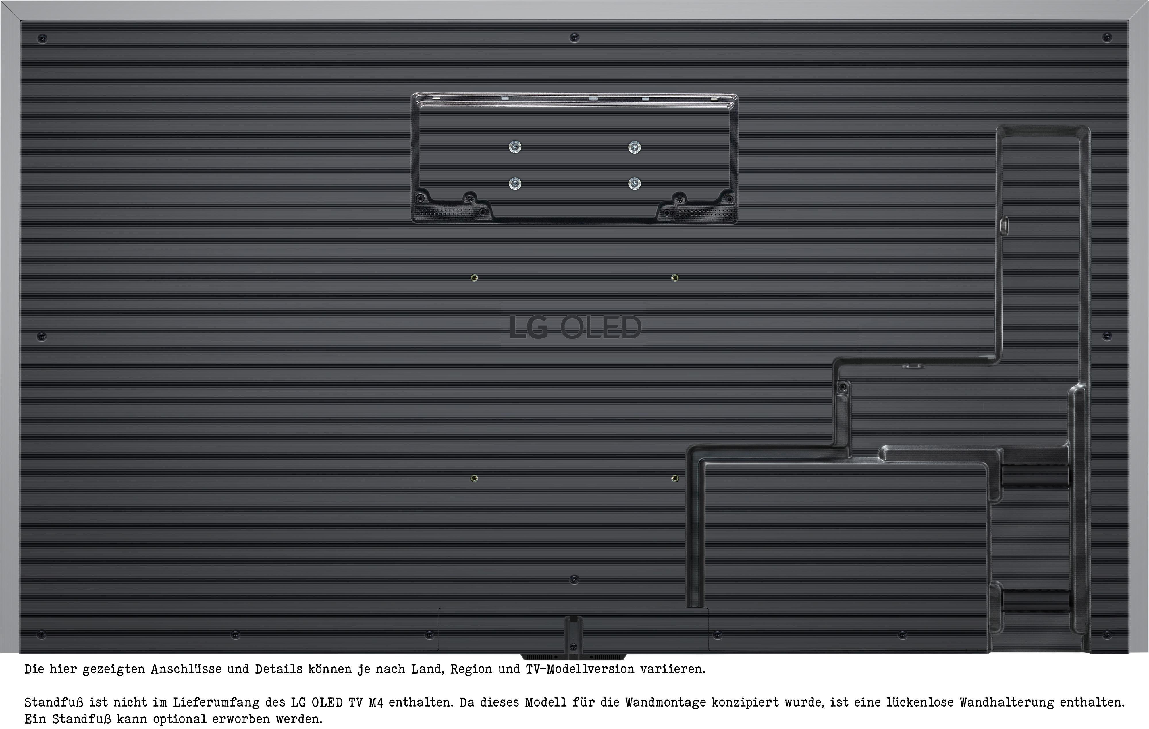 Rückseite eines schwarzen LG OLED TVs. Zeigt Montagebohrungen und Anschlüsse.