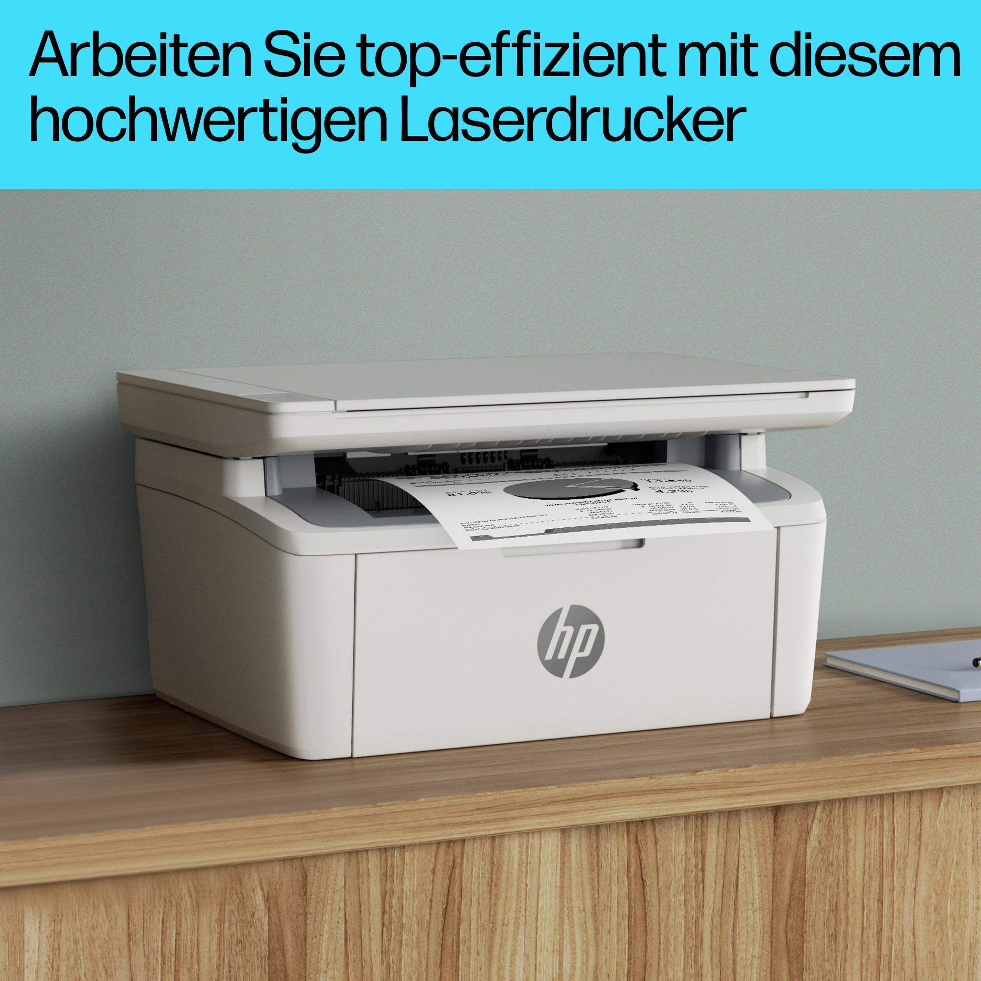Spielbox und ein montiertes Bild eines Ritters auf einem Pferd.