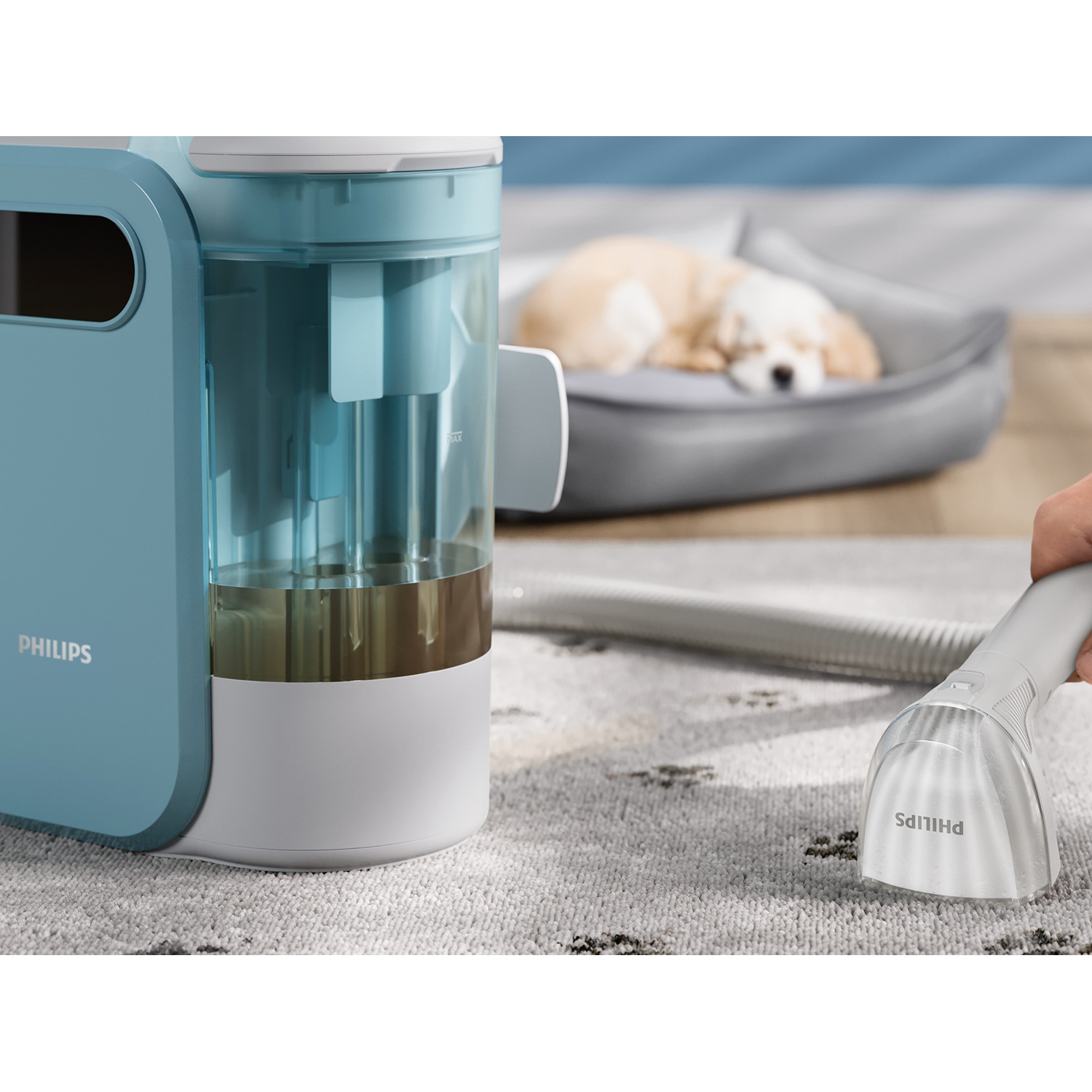 Un dispositivo di pulizia blu e bianco con un tubo flessibile e una persona che pulisce un tappeto.