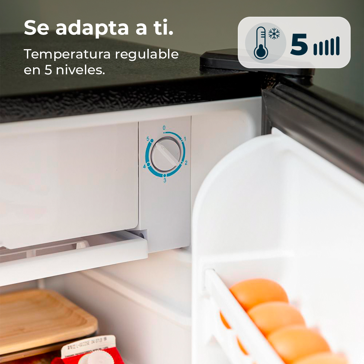Dentro de un refrigerador, un dial ajustado a 0, huevos y un estante. El texto dice: Temperatura ajustable en 5 niveles.