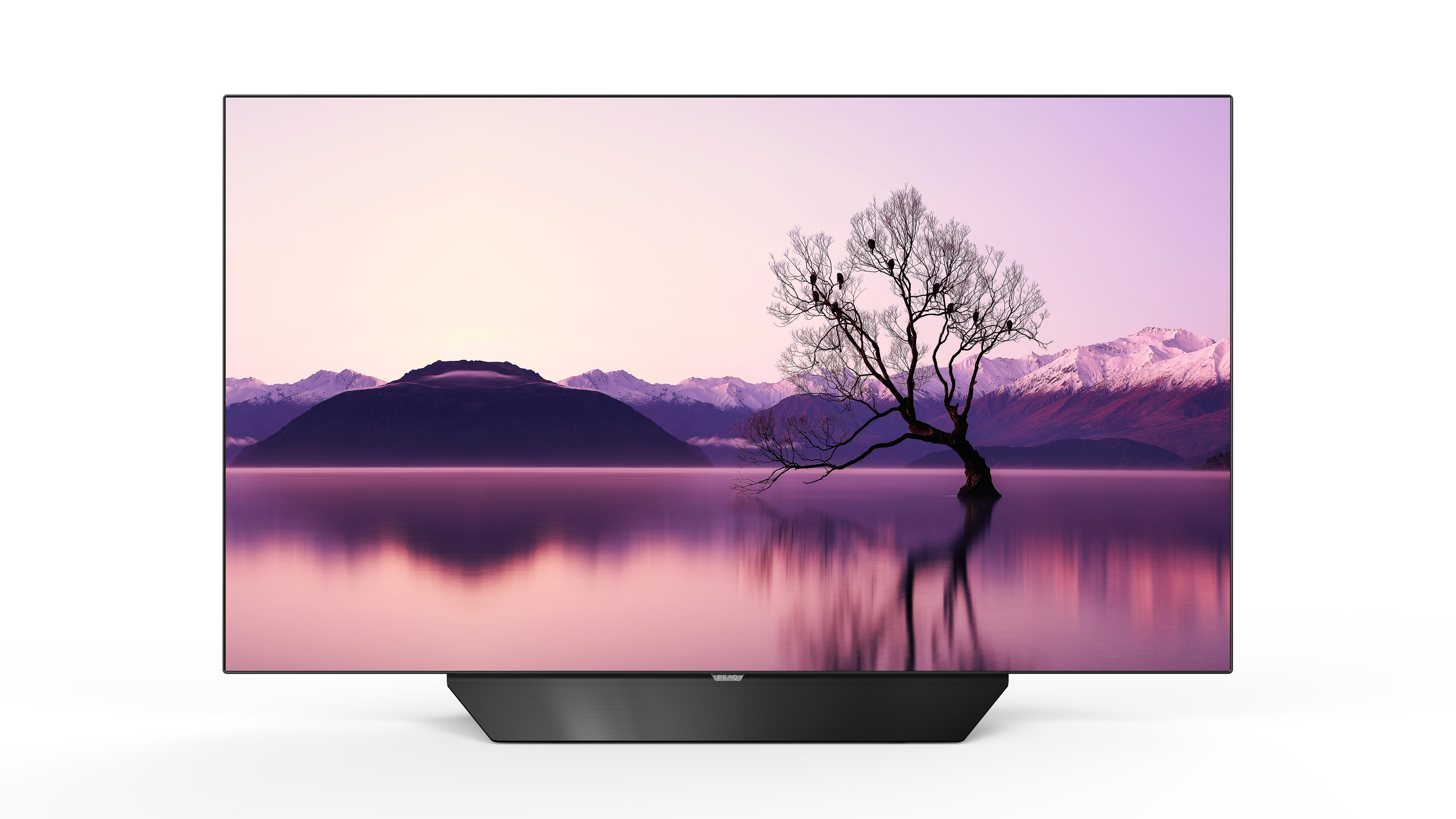 TV-Bildschirm zeigt Landschaft mit Baum und Bergen. Schwarzer Rahmen und Ständer. Weißer Hintergrund.