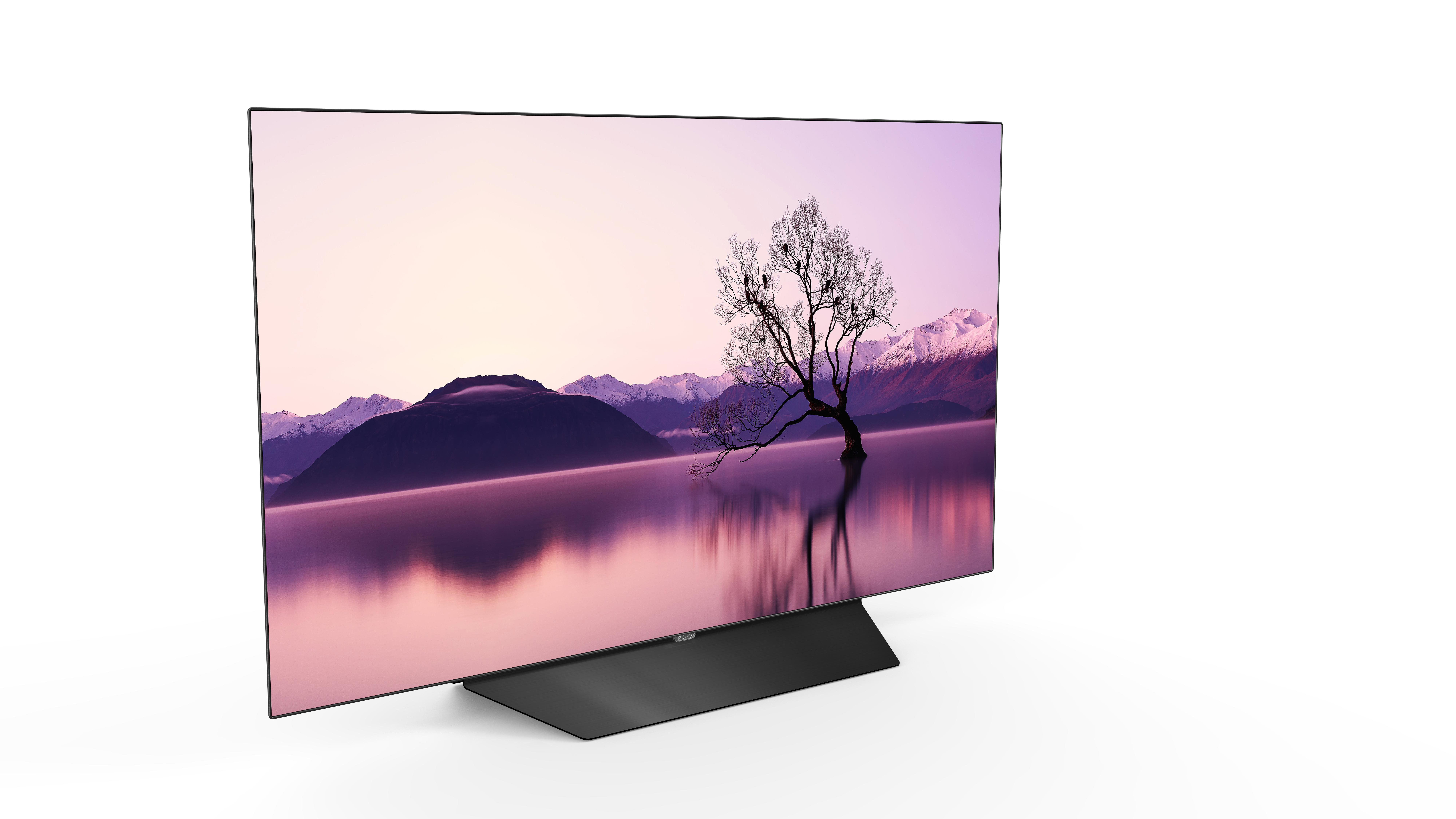 Ein großer Flachbildfernseher, der eine Landschaft mit einem Baum und Bergen zeigt.
