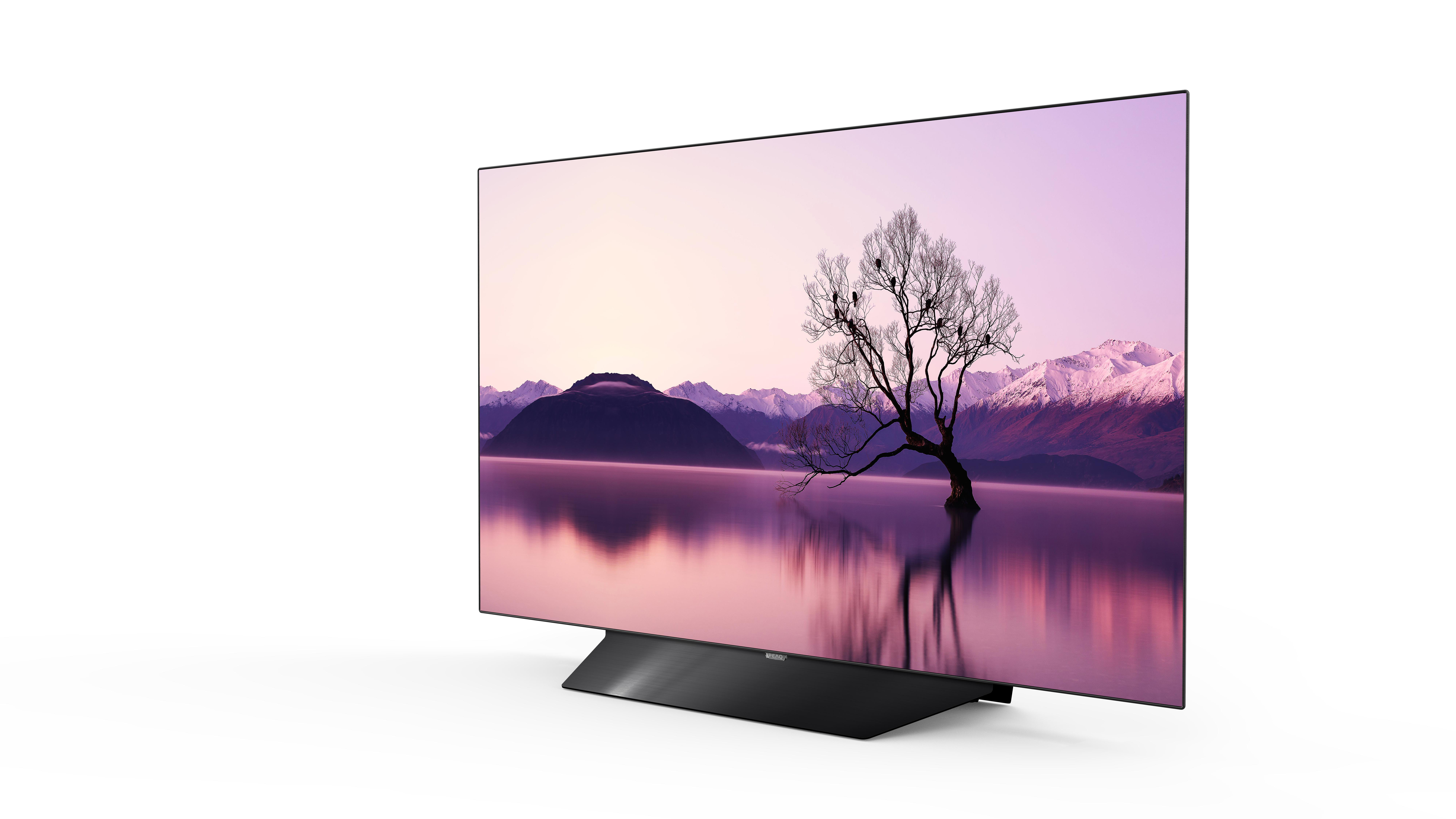 Großer Flachbildfernseher mit einer Seelandschaft mit Baum und Bergen.