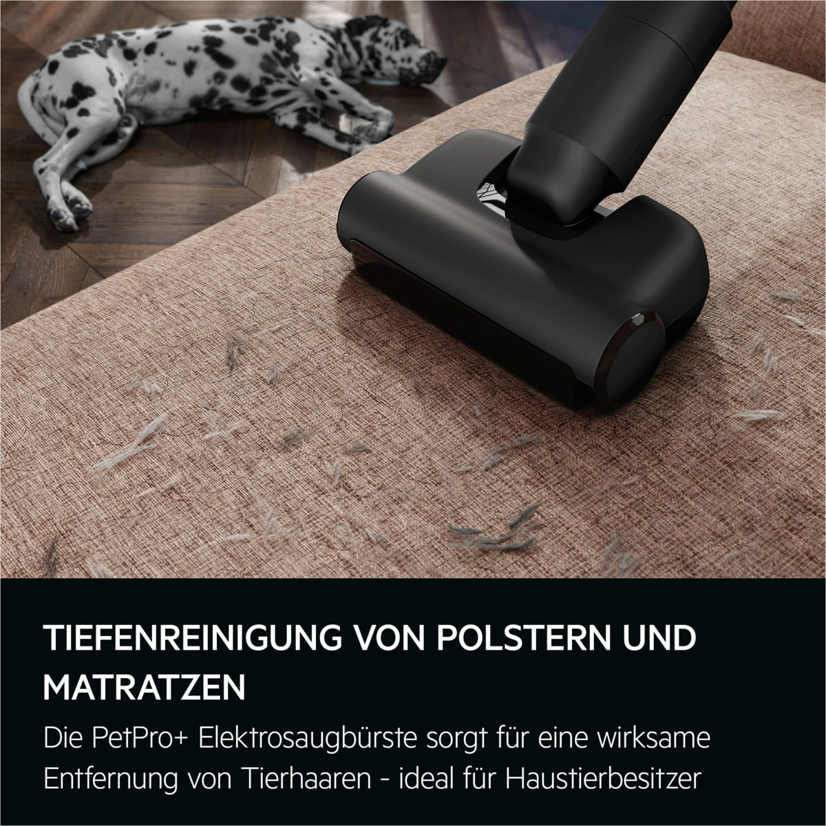 Schwarzer Staubsaugerkopf auf einem braunen Sofa mit Haaren. Ein Dalmatinerhund ist im Hintergrund.
