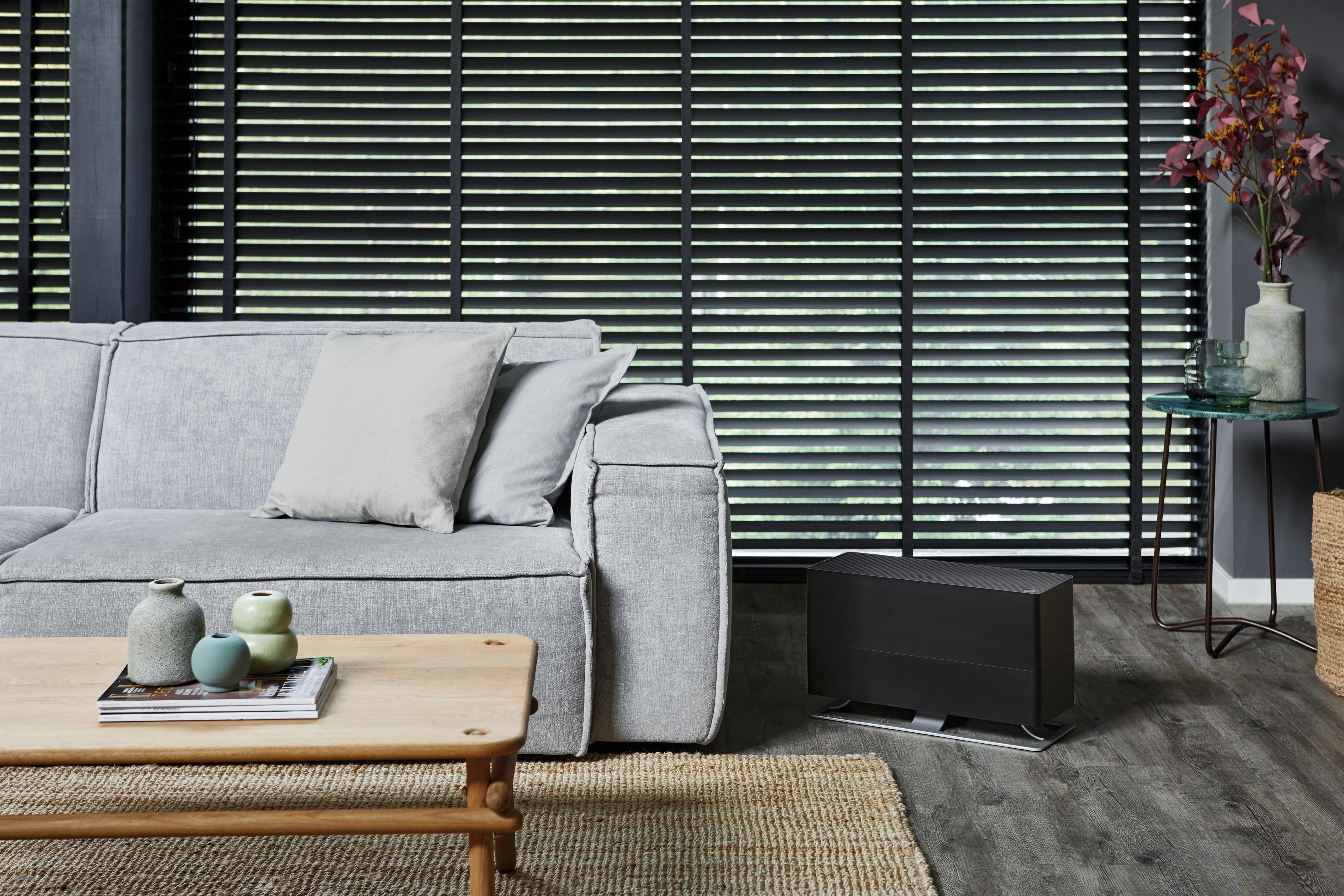 Wohnzimmer mit grauem Sofa, Holztisch, Teppich, Luftreiniger, Jalousien und Pflanzen.