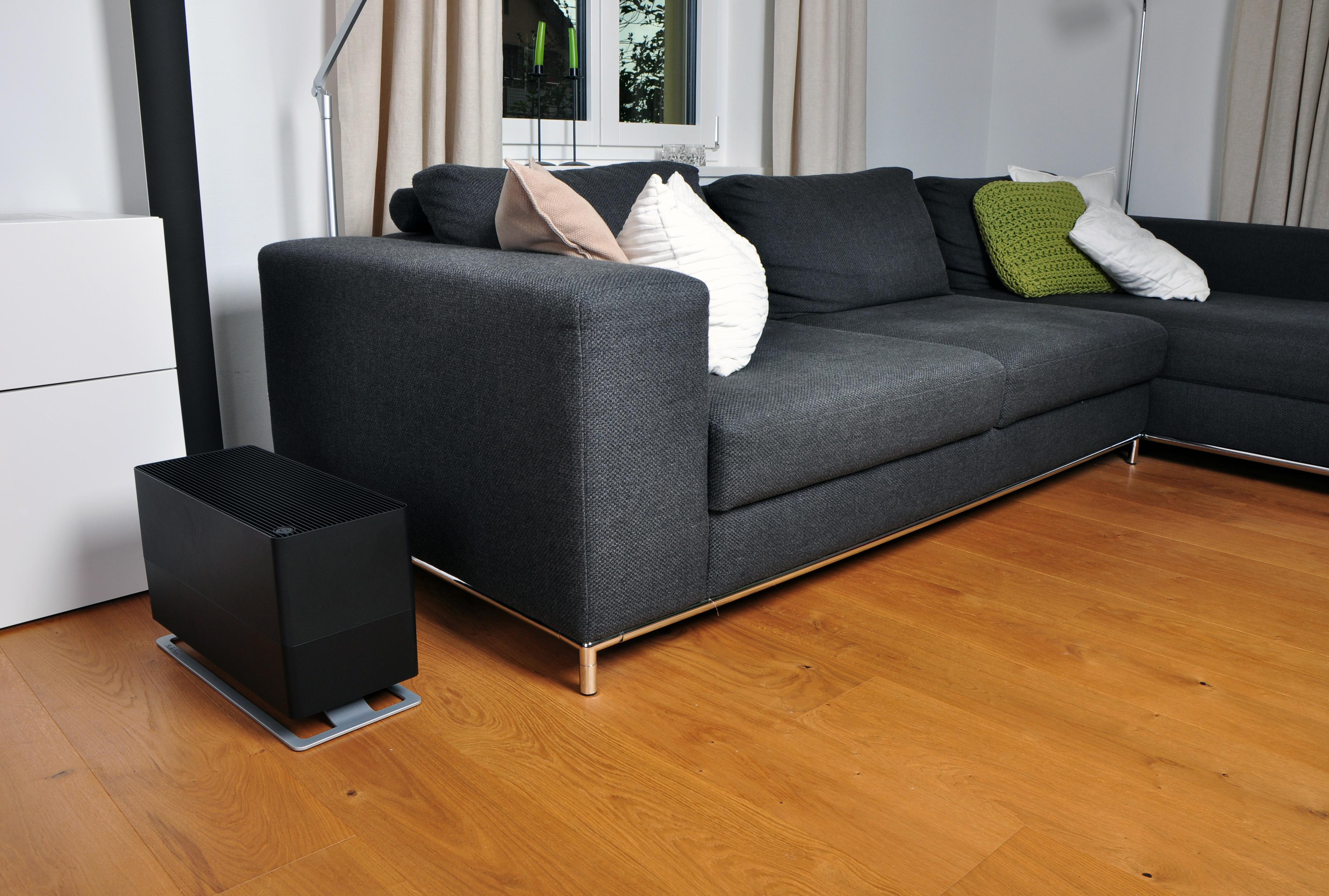 Wohnzimmer mit dunkelgrauem Sofa, schwarzem Luftreiniger und Holzboden.