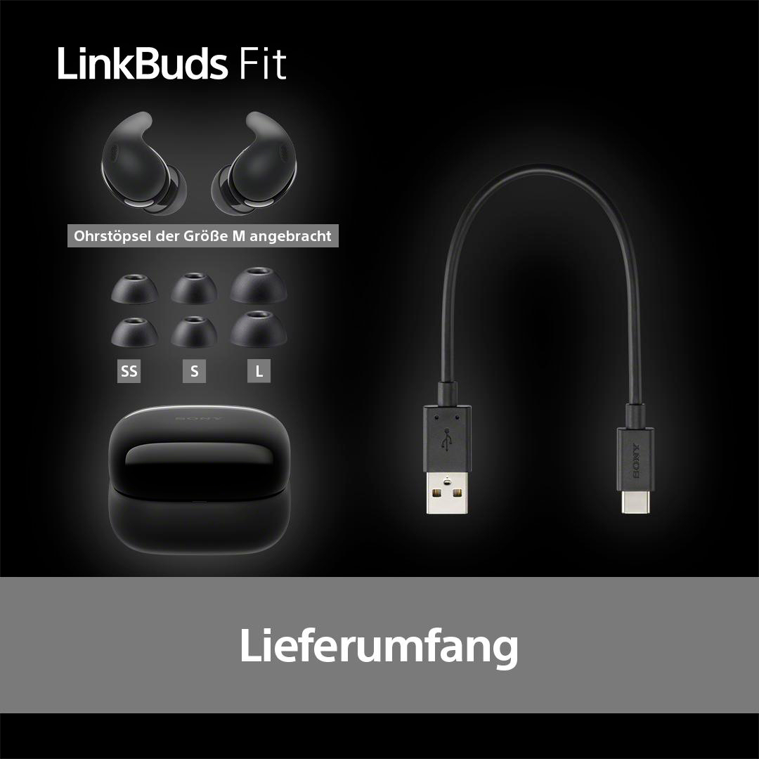 Ein schwarzes Etui mit Ohrhörern, zusätzlichen Spitzen und einem USB-Kabel auf schwarzem Hintergrund.