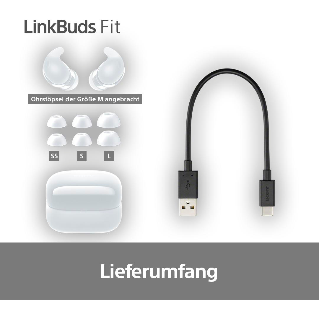 Eine Reihe von LinkBuds Fit-Ohrhörern mit Ohrstöpseln in verschiedenen Größen und einem USB-C-Kabel.