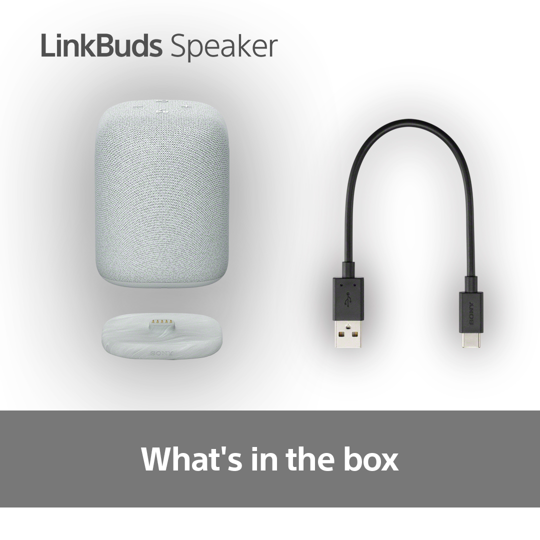 Ein grauer Lautsprecher, eine weiße Ladestation und ein schwarzes USB-Kabel, mit Text 'Was ist in der Box'.