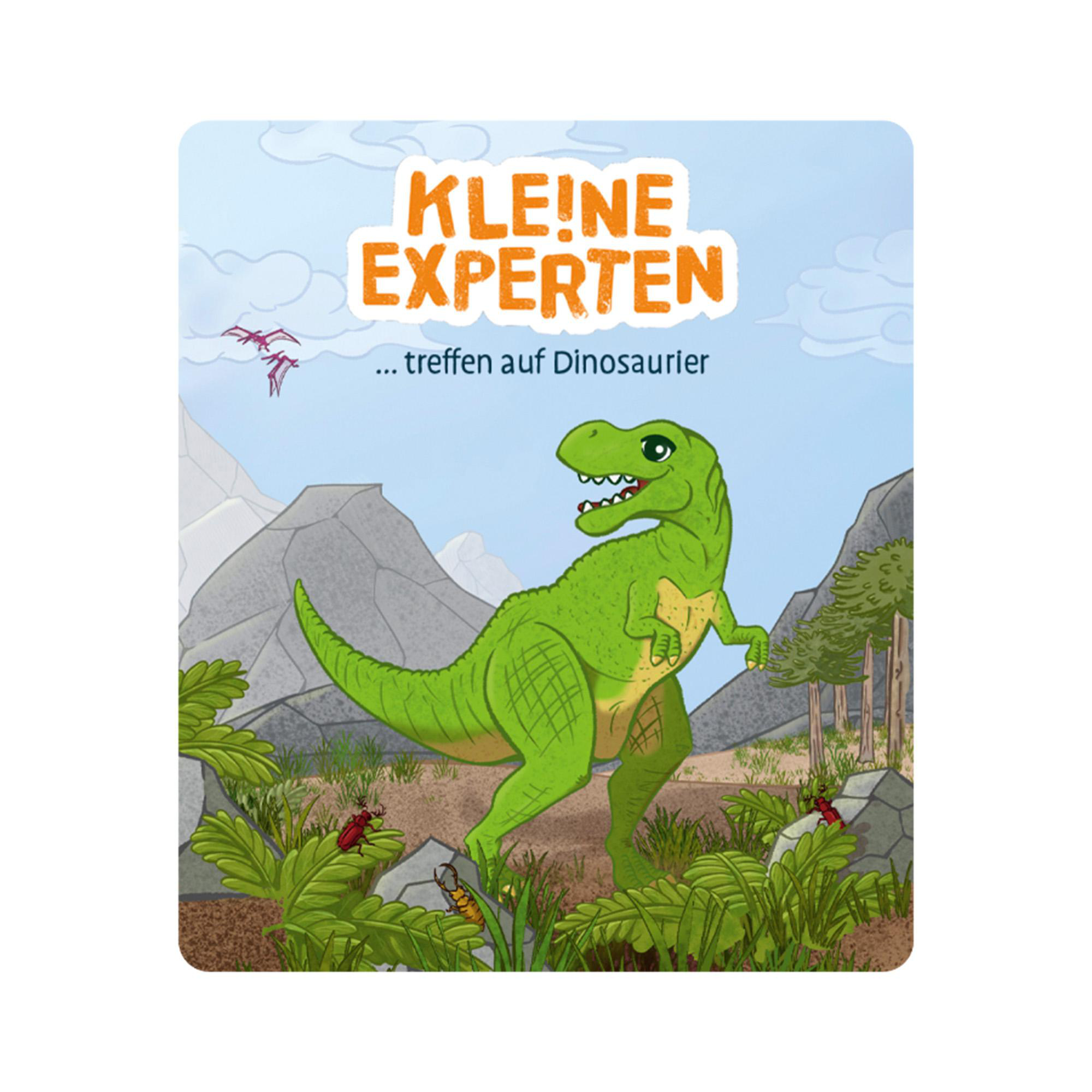 Illustration eines grünen Dinosauriers auf einem Buchcover mit Text: KLEINE EXPERTEN...treffen auf Dinosaurier.