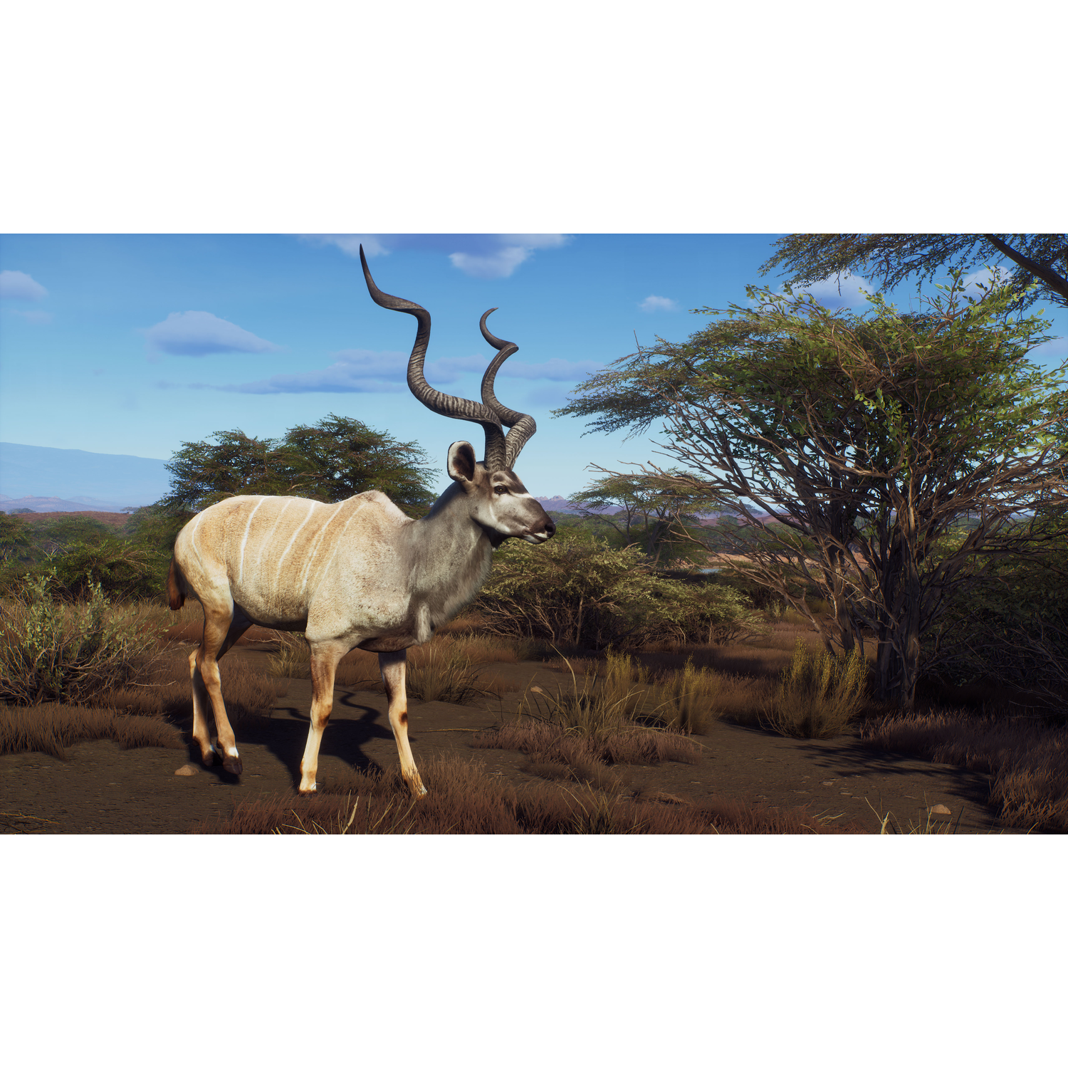 Een Kudu staat in een savannelandschap. Het dier heeft lange, spiraalvormige hoorns en staat tegen bomen en een blauwe lucht.