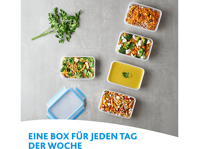 EMSA 508539 Clip & Close 0.8 l Frischhaltedose Transparent/Blau