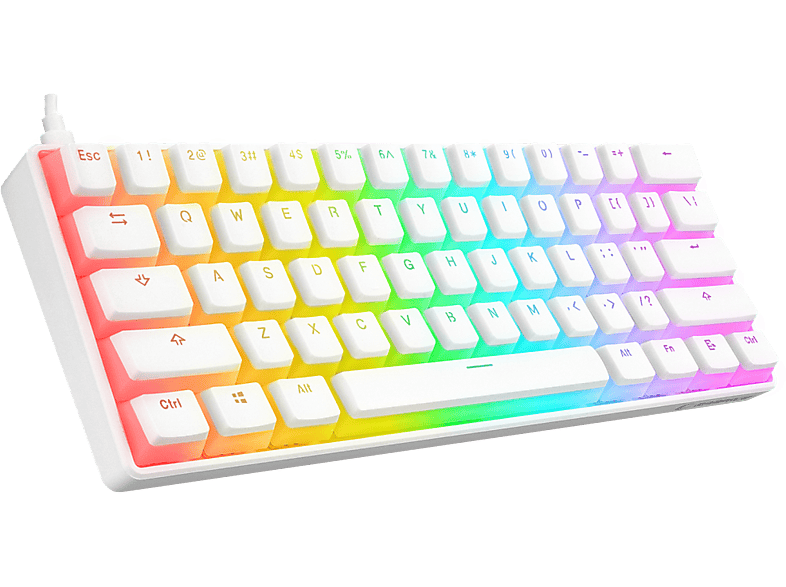 RAMPAGE KB-R135 Parvus Type-C Bağlantılı RGB Puding Tuşlu Red Switch US Gaming Oyuncu Klavye Beyaz_0