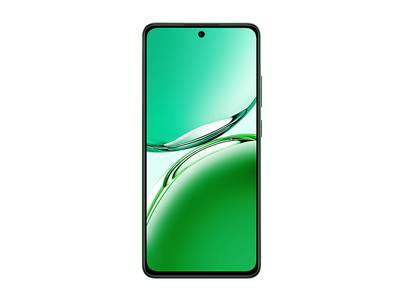 OPPO Reno 11FS 8/256GB Akıllı Telefon Zeytin Yeşili_0