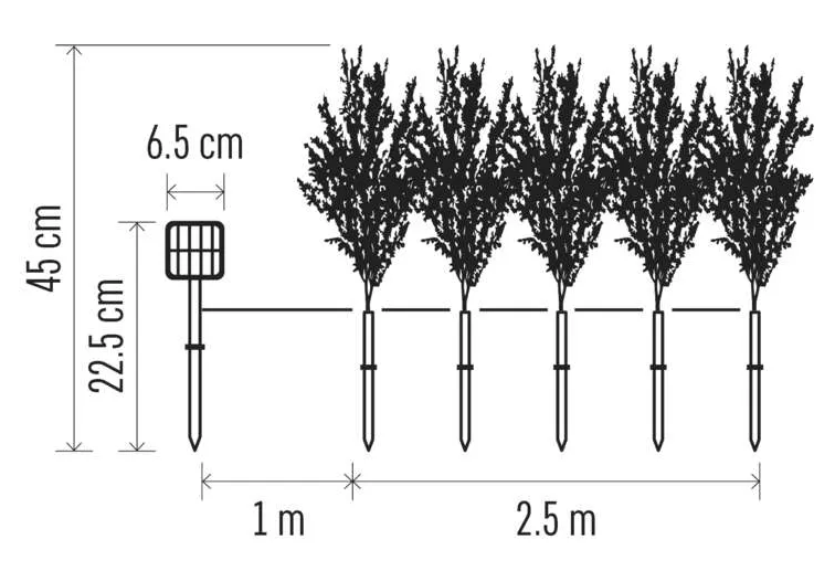 Egy diagram látható, amely növényeket mutat vonallal és a beállítás méreteivel.