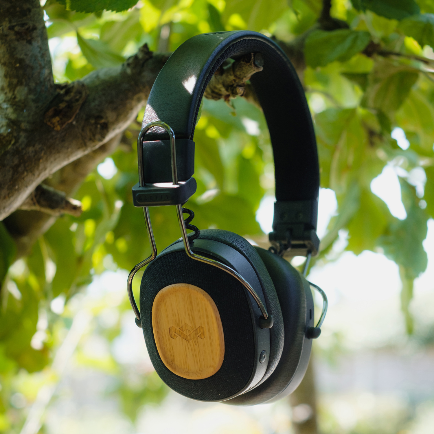 Black headphones hanging from a tree branch. They have a wooden ear cup detail and silver accents.
