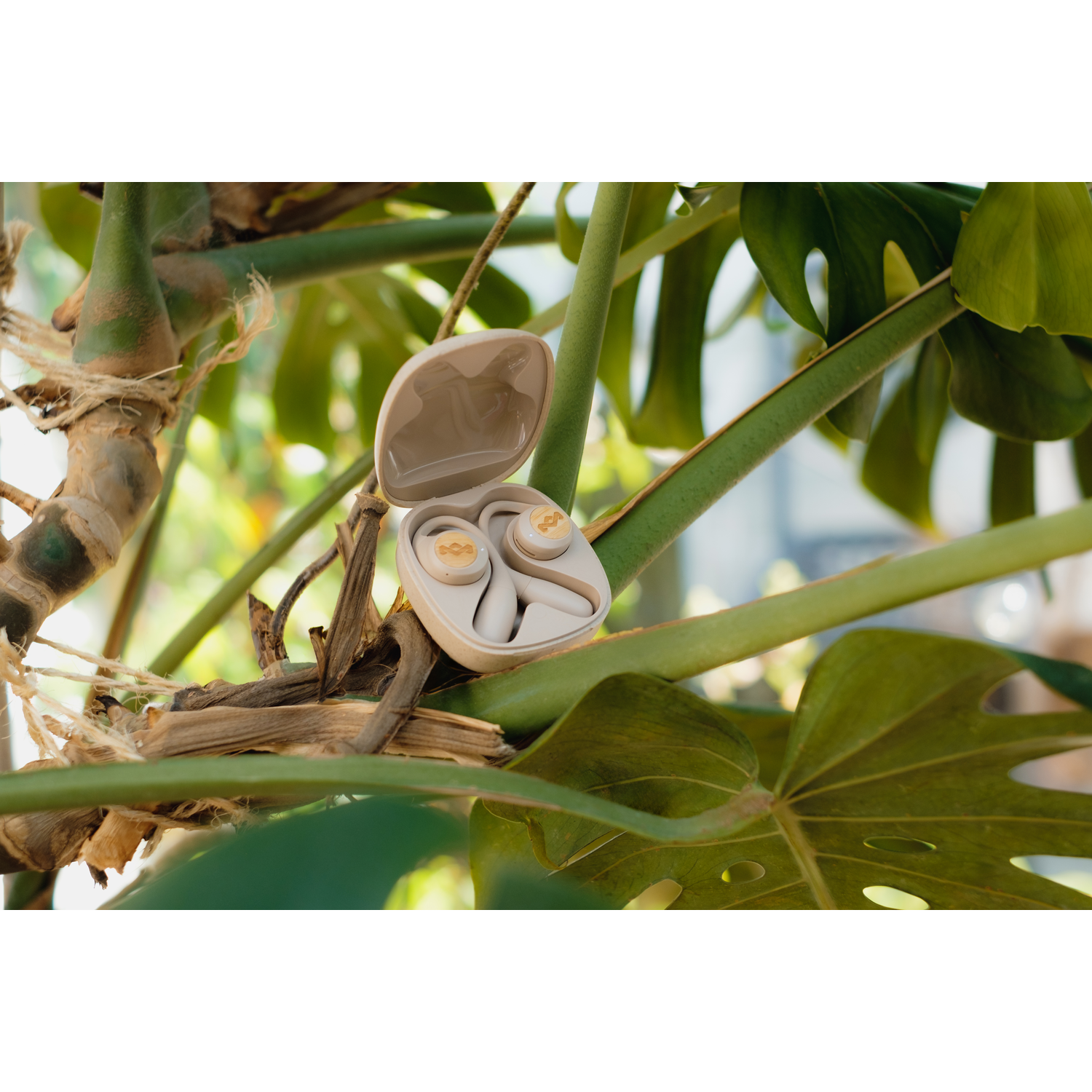 A case containing earbuds, placed among green plant leaves.