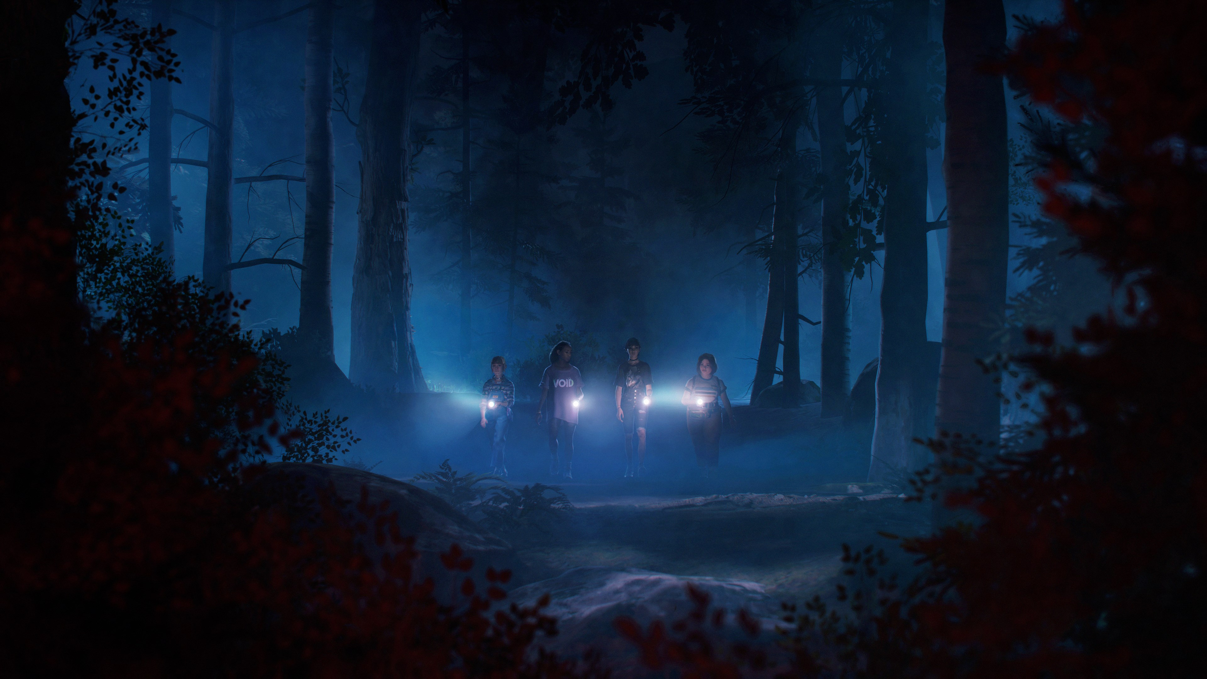 Quattro persone con torce camminano in una foresta oscura. Gli alberi li circondano. La nebbia riempie lo sfondo. Cespugli rossi incorniciano l'immagine.