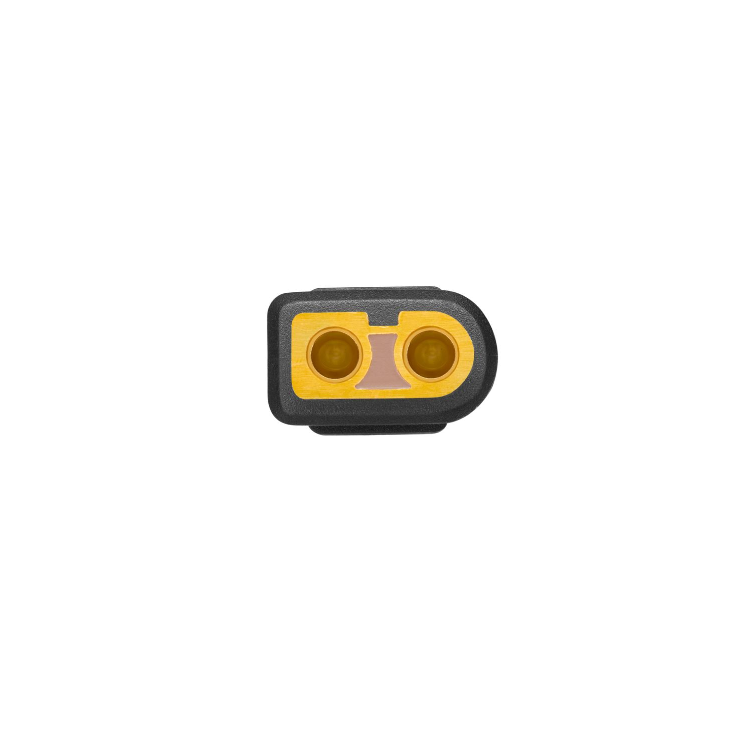 A connector with two gold pins in a black plastic casing, isolated on a white background.