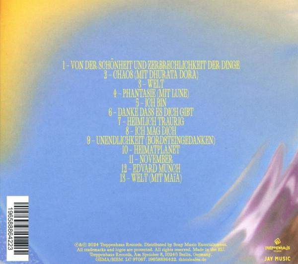 Album-Rückseite mit Trackliste in gelbem Text vor blau-gelbem Hintergrund.