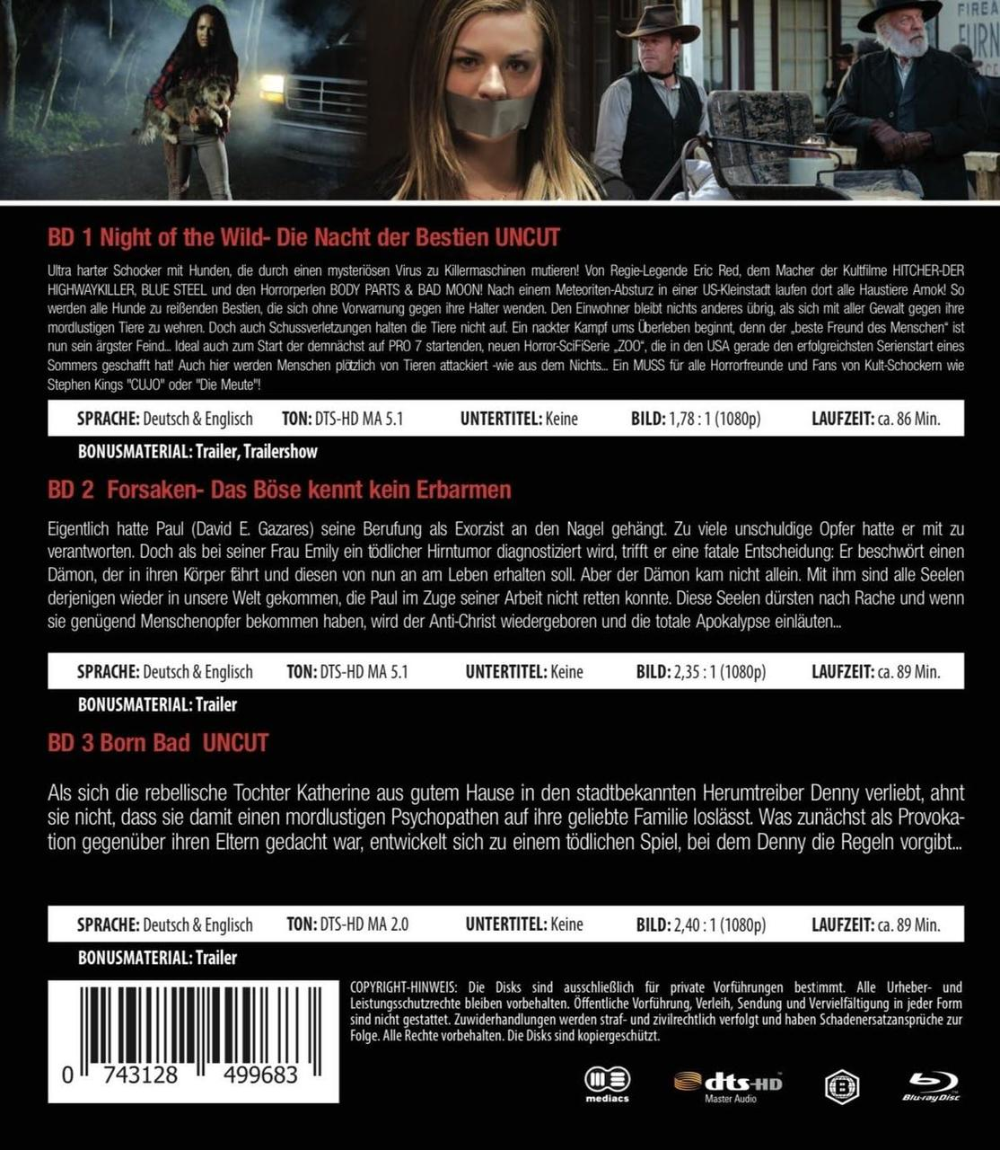 DVD-Cover mit Filmszene, Text und Schauspielern. Rückseite mit Details und Credits.