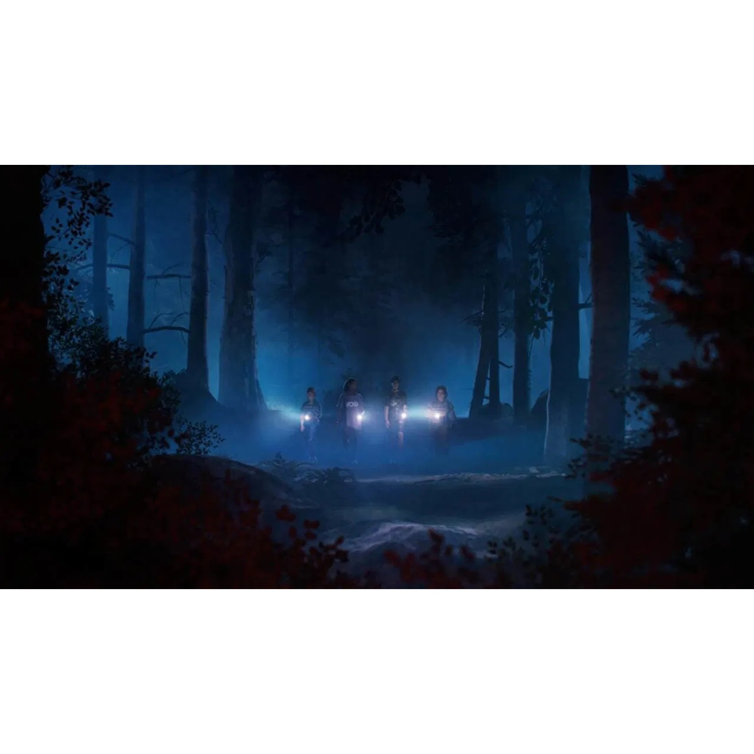 Een groep mensen met zaklampen in een donker bos met mist.